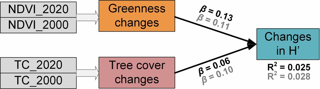Extended Data Fig. 7: Relationship between changes in NDVI/tree cover and H′ based on a multiple linear regression model.