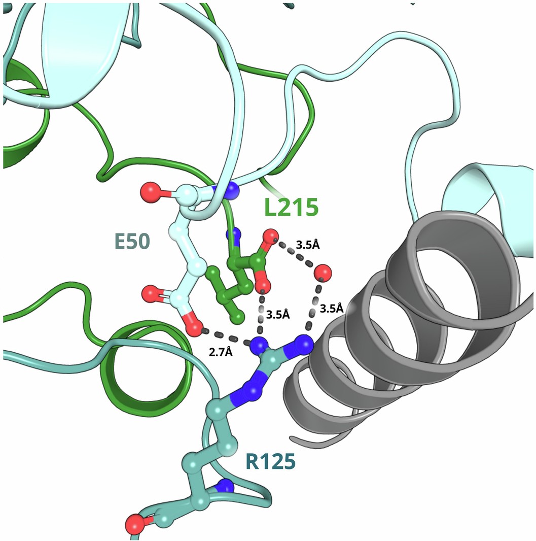 Extended Data Fig. 6