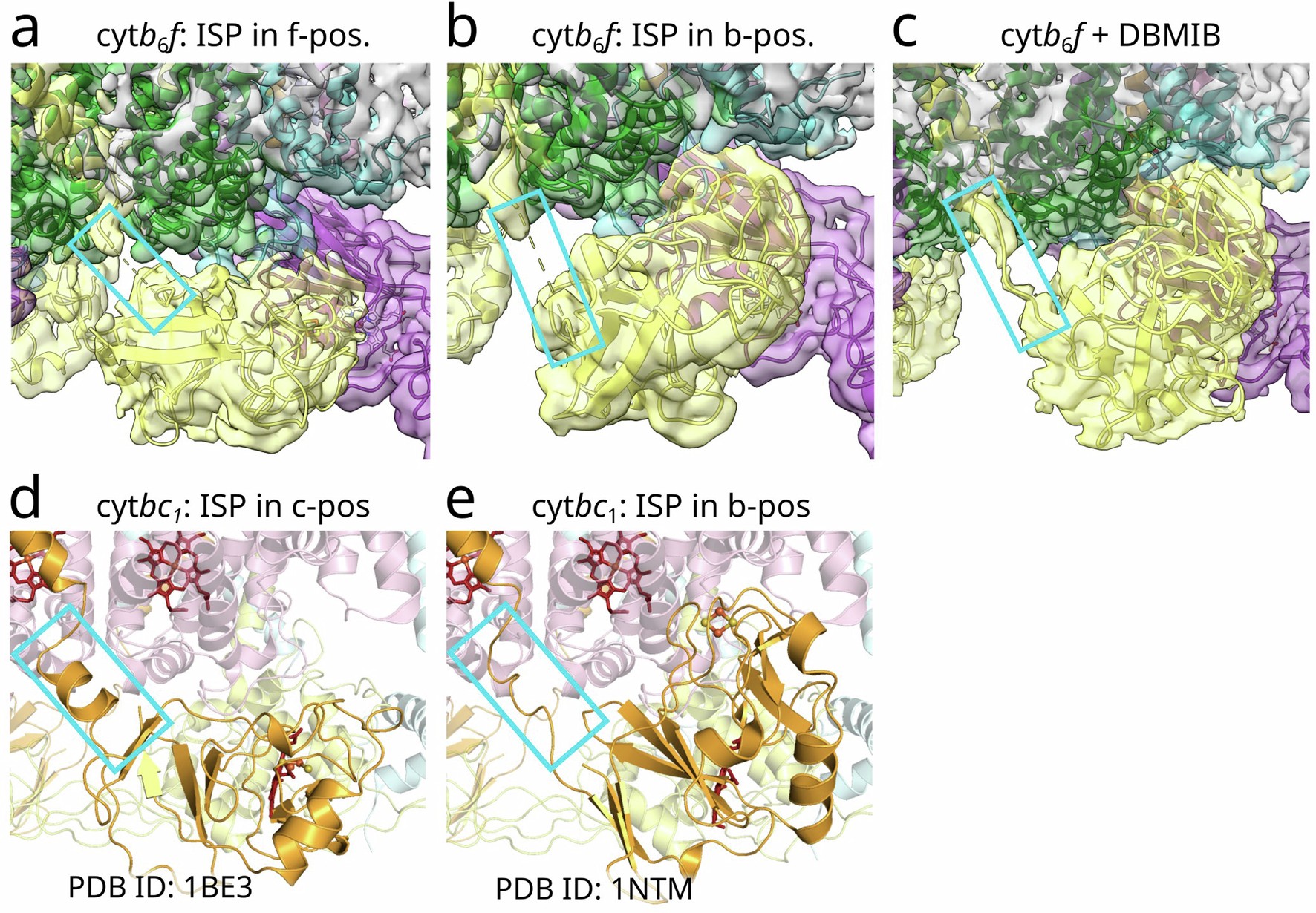 Extended Data Fig. 9