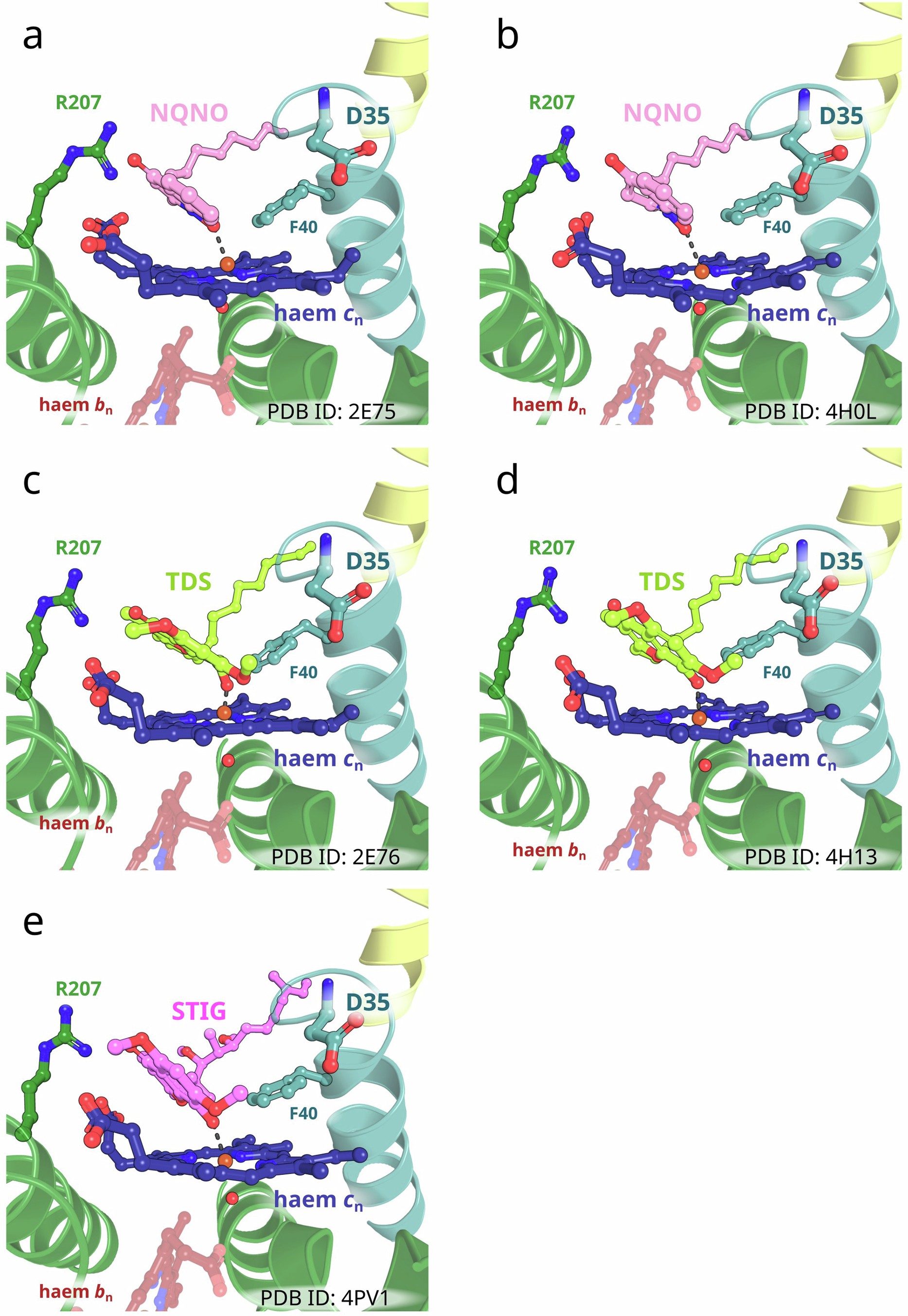 Extended Data Fig. 3