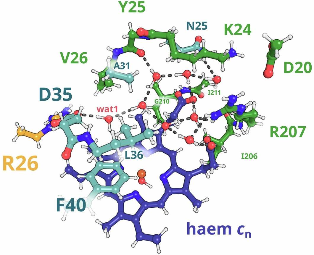 Extended Data Fig. 4