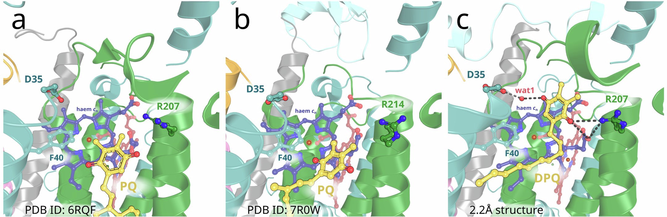 Extended Data Fig. 5