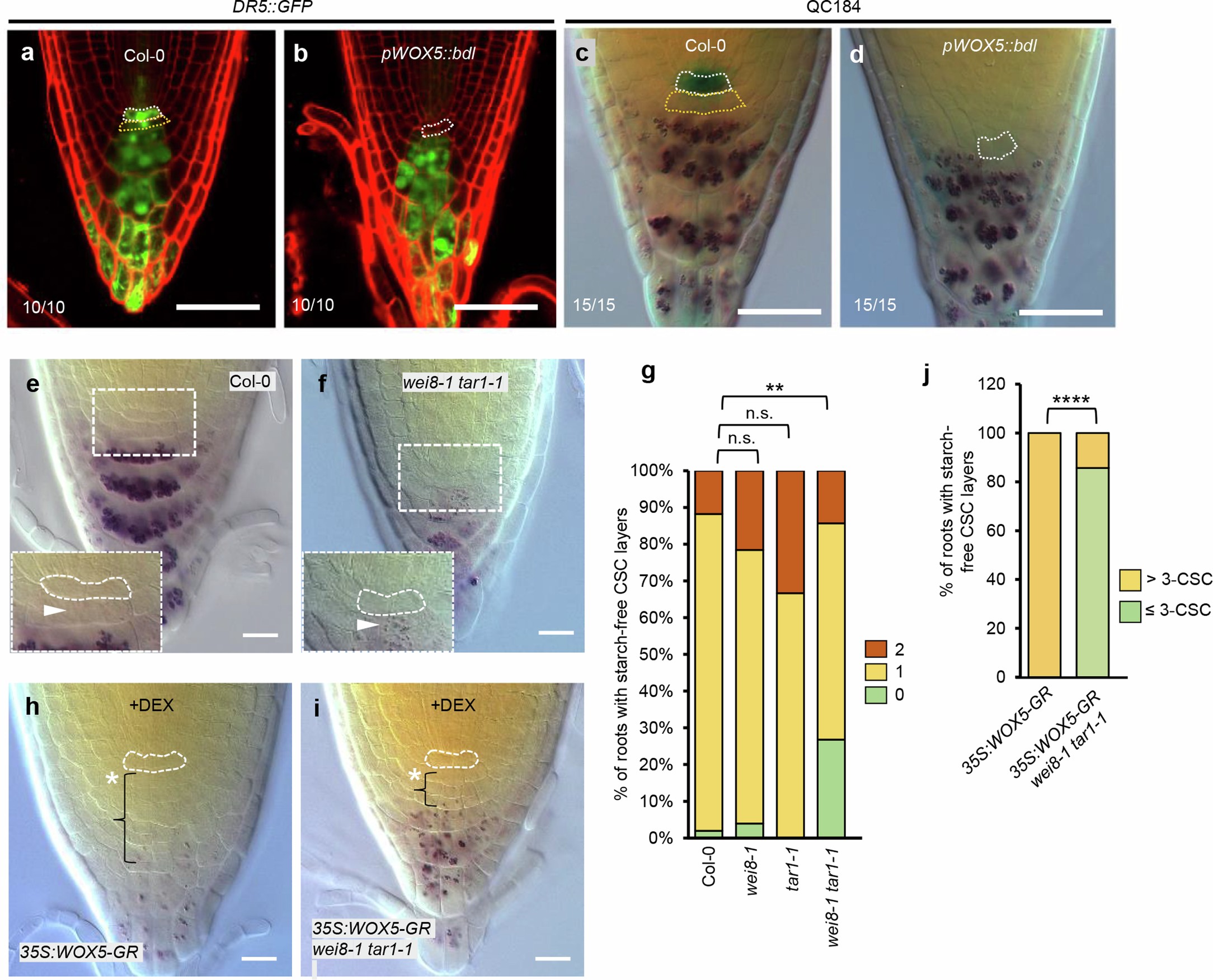 Extended Data Fig. 7
