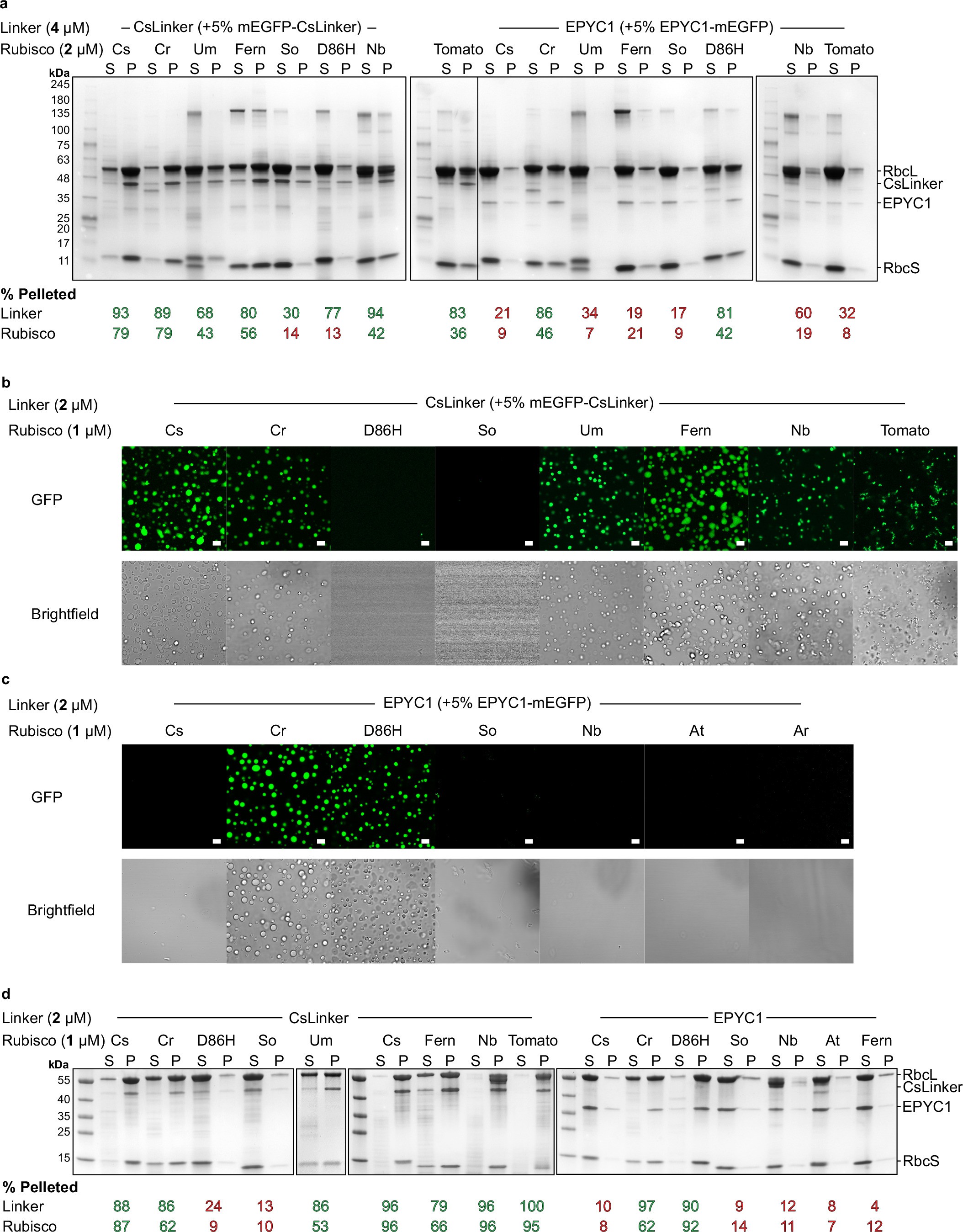 Extended Data Fig. 8