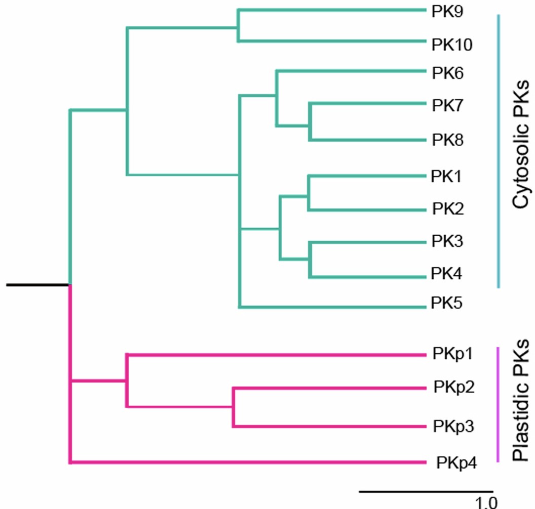 Extended Data Fig. 2