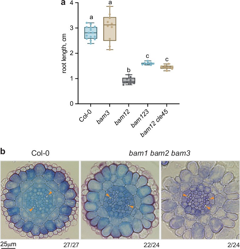 Extended Data Fig. 1