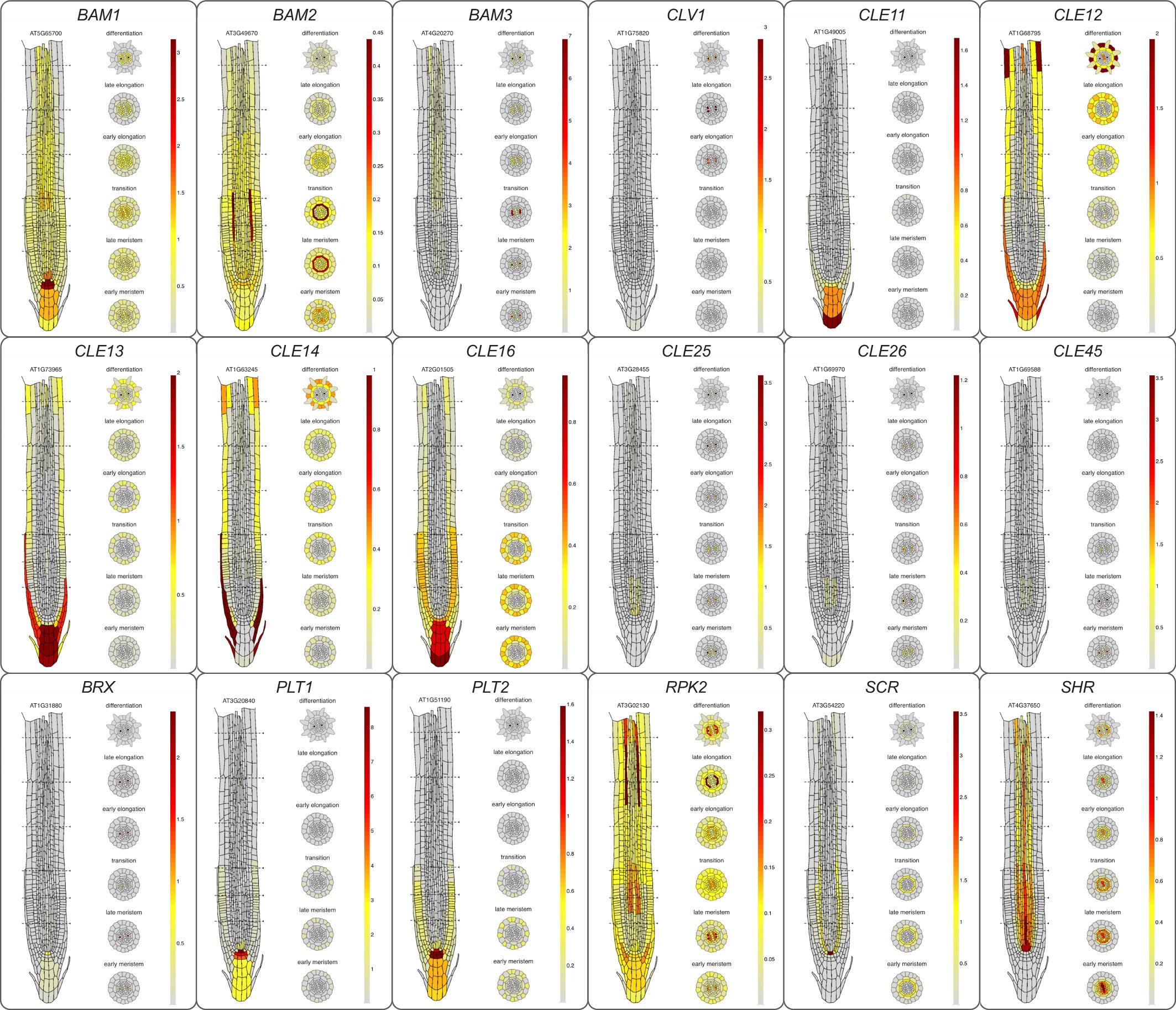 Extended Data Fig. 2