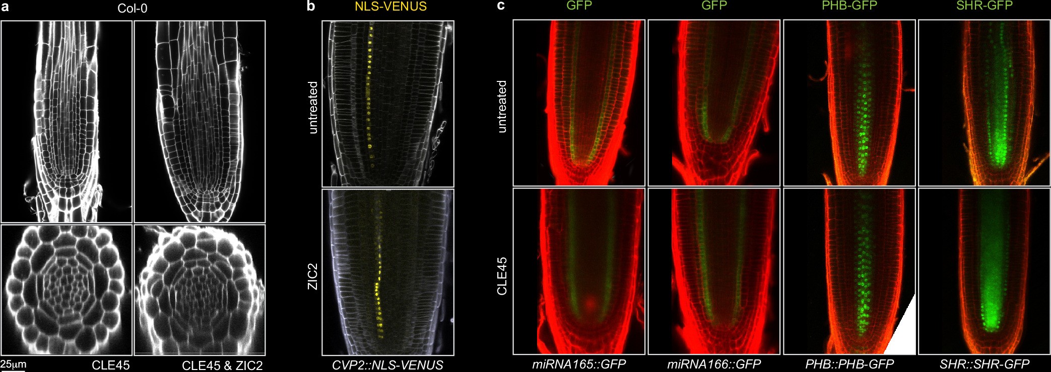 Extended Data Fig. 3