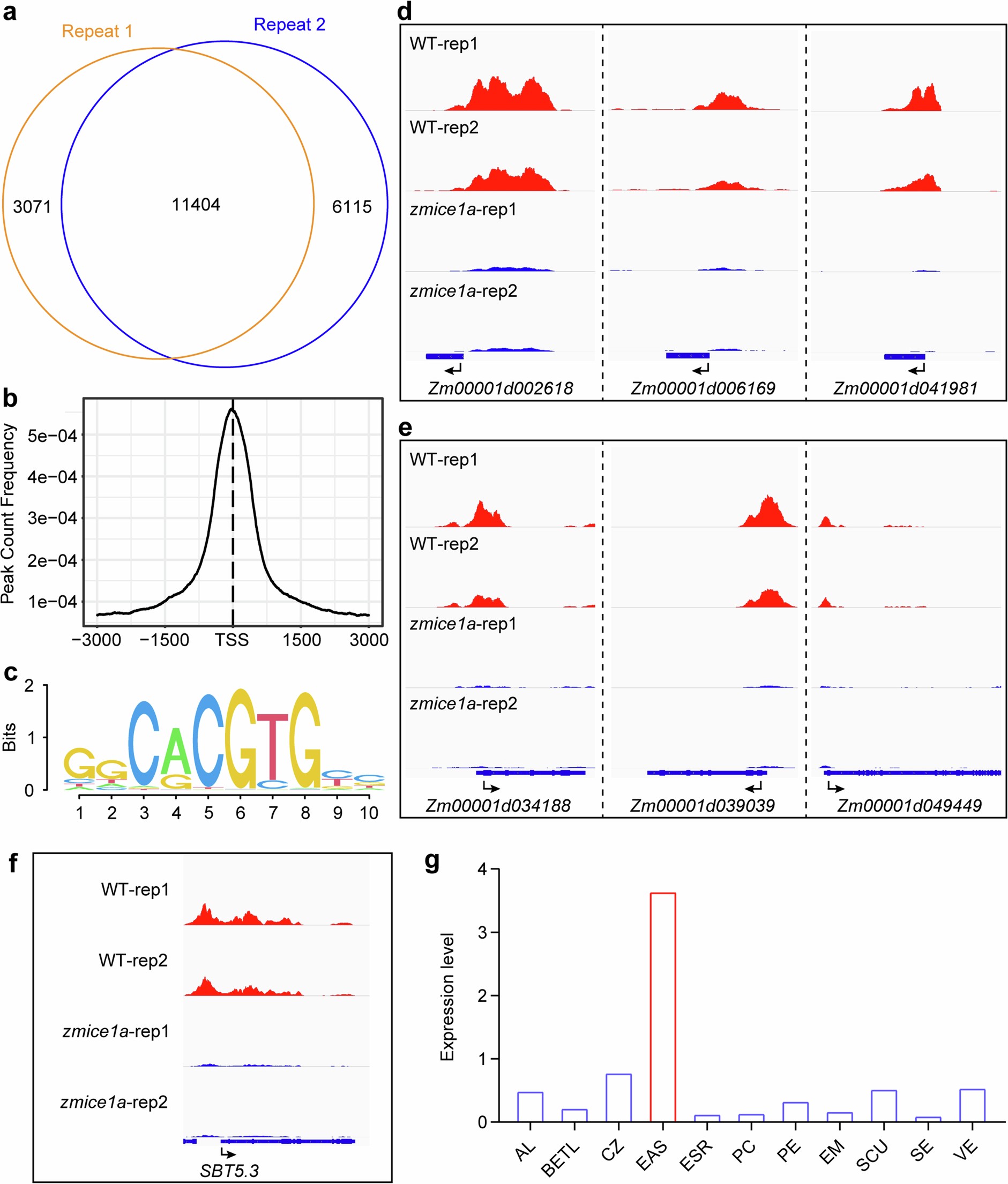 Extended Data Fig. 5