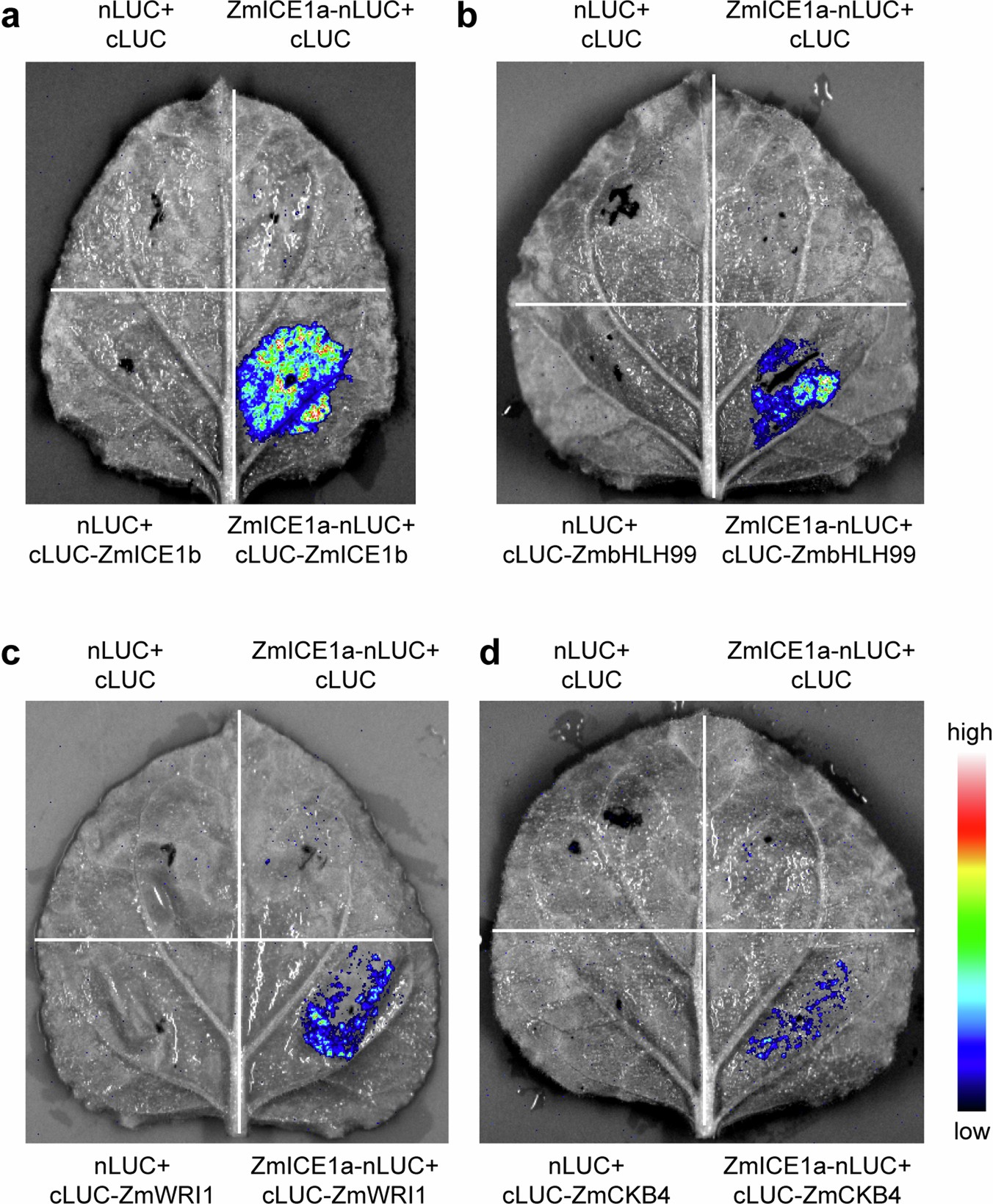 Extended Data Fig. 9