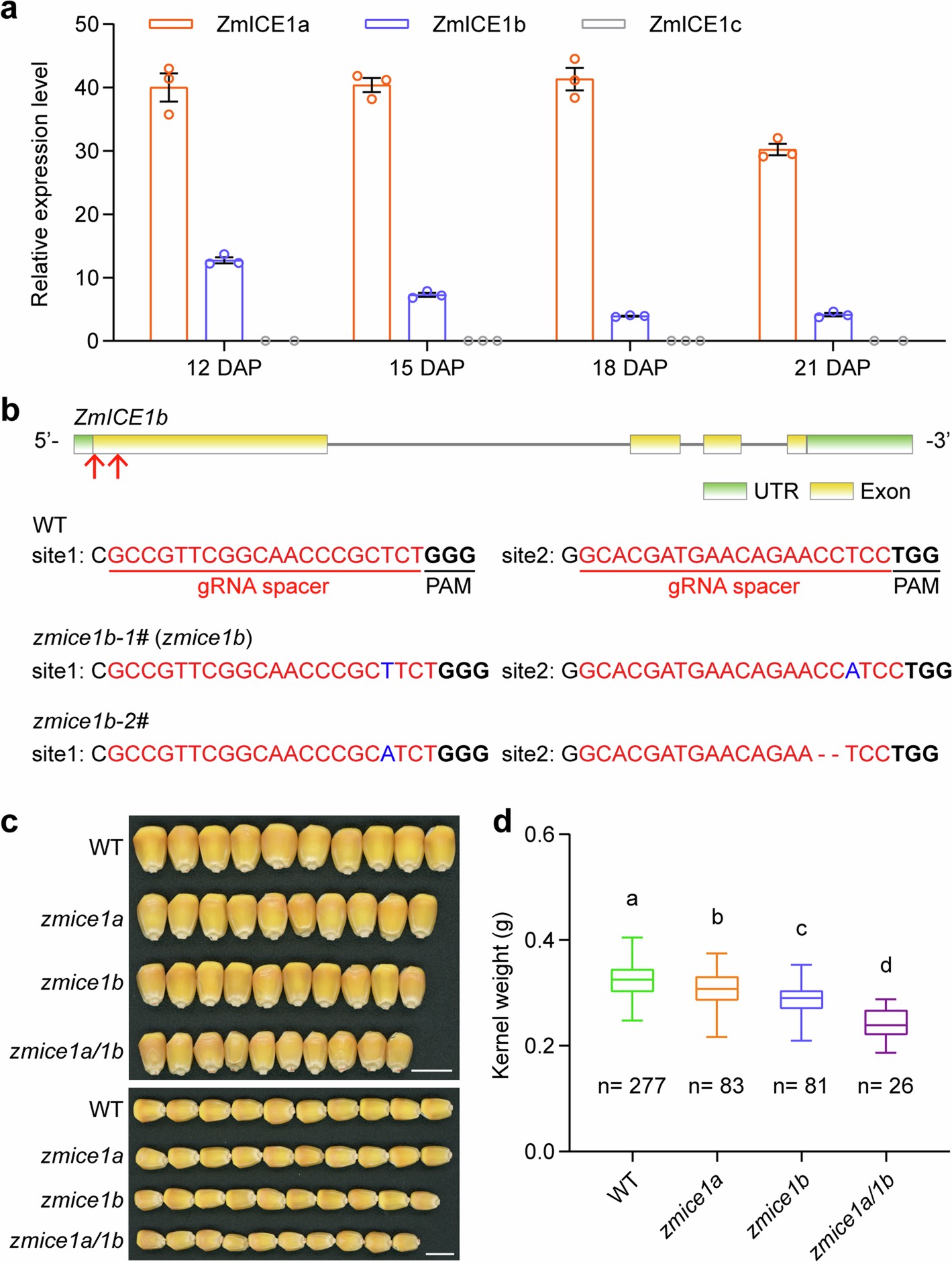 Extended Data Fig. 3