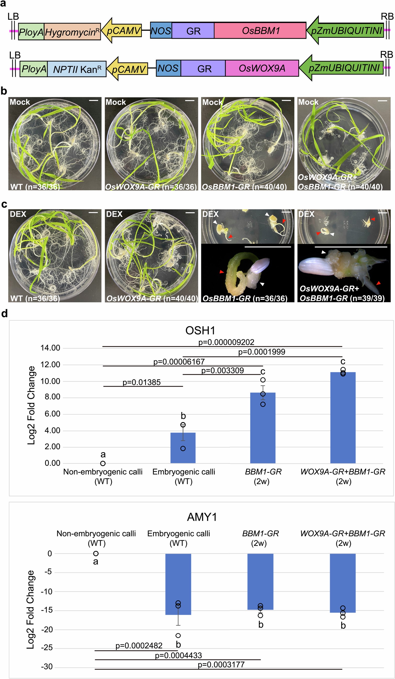 Extended Data Fig. 5