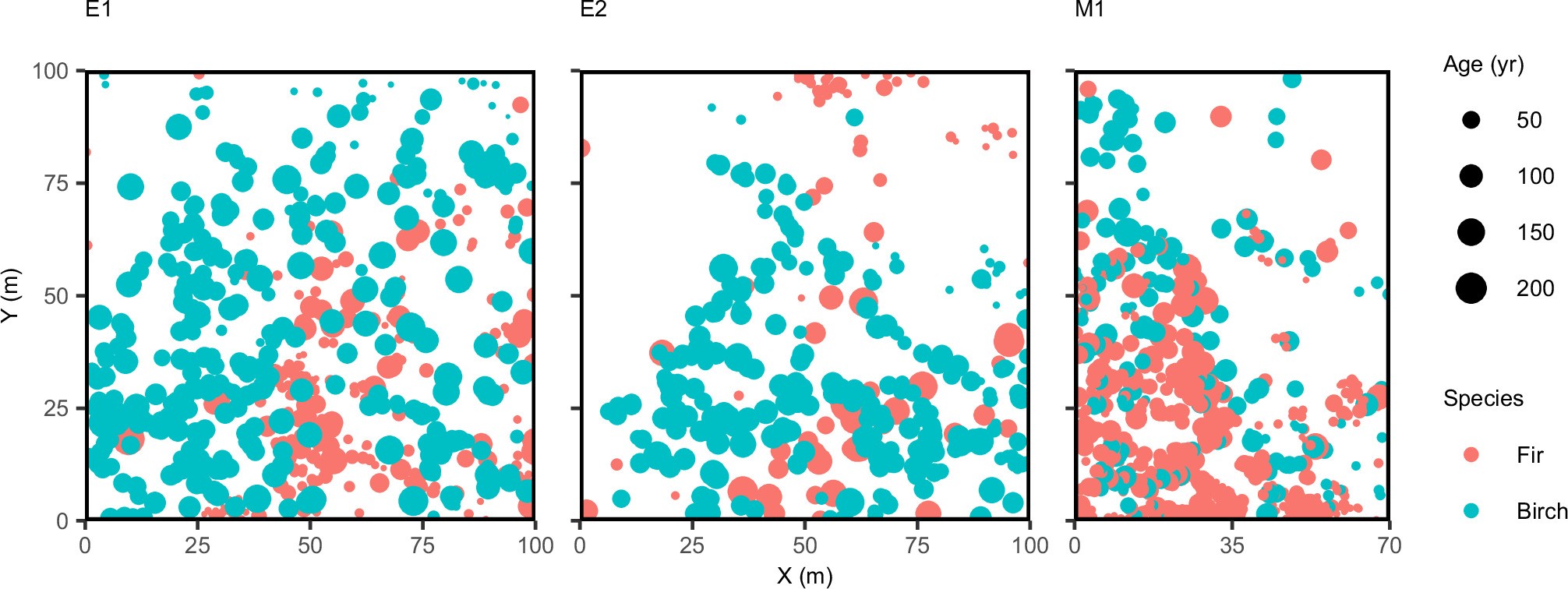Extended Data Fig. 1: Spatial distribution of fir and birch within three treeline plots.