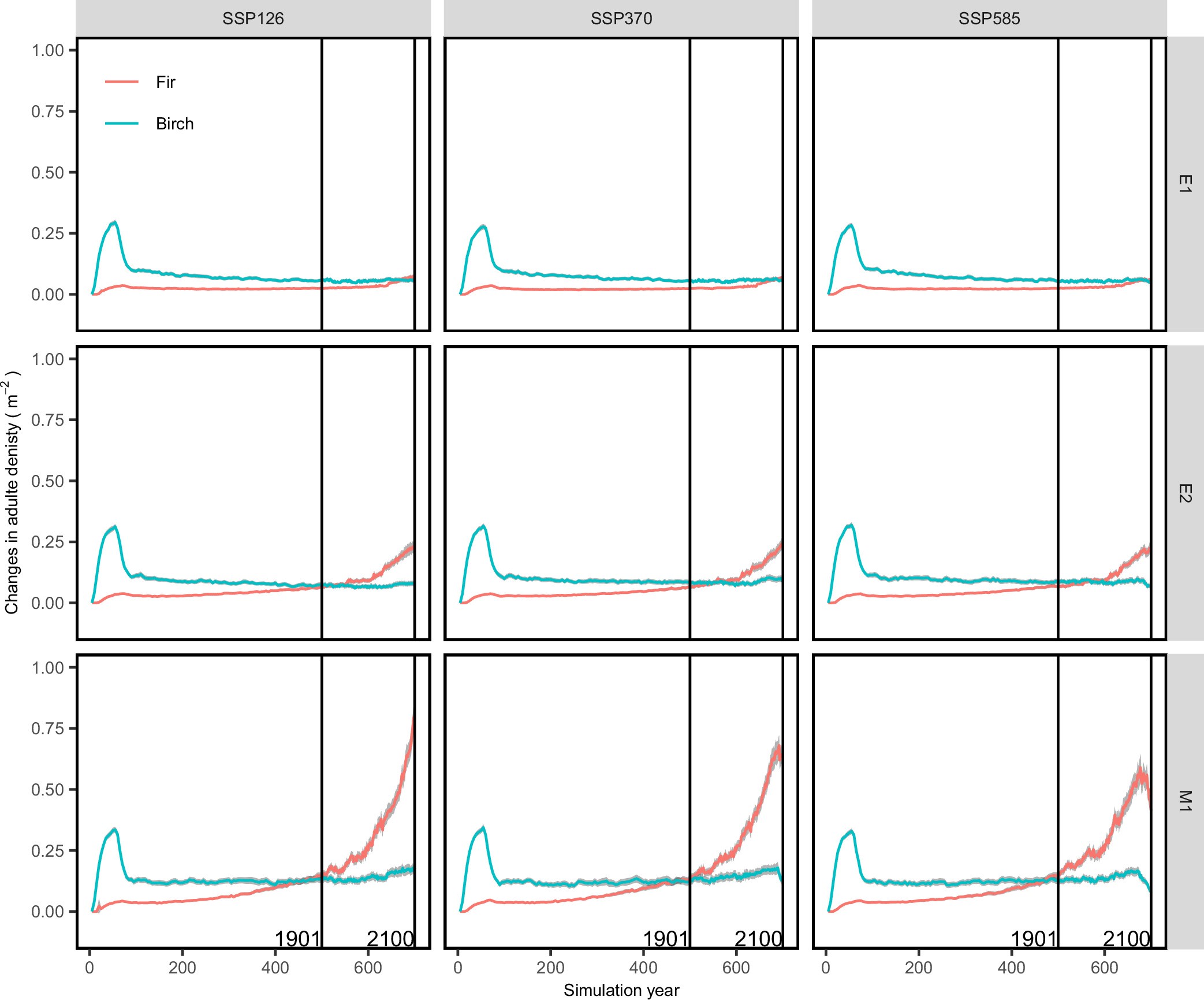 Extended Data Fig. 3: Simulated density dynamics of birch (cyan lines) and fir (red lines) adults (height > 2.0 m) including projected temperature and precipitation in three SSP scenarios (SSP126, SSP340, and SSP585).