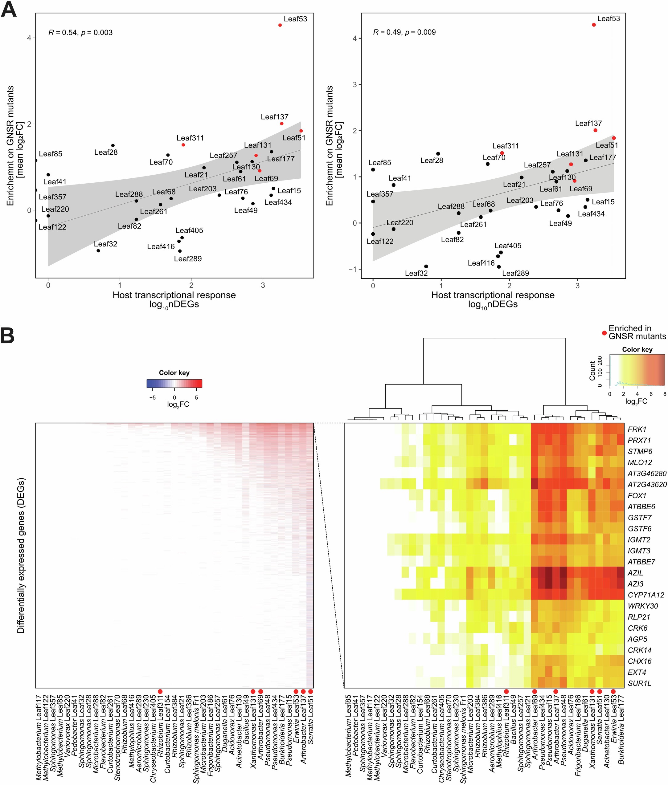 Extended Data Fig. 3: Relationship between effect of GNSR mutations on microbiota strains and elicited host response intensity.