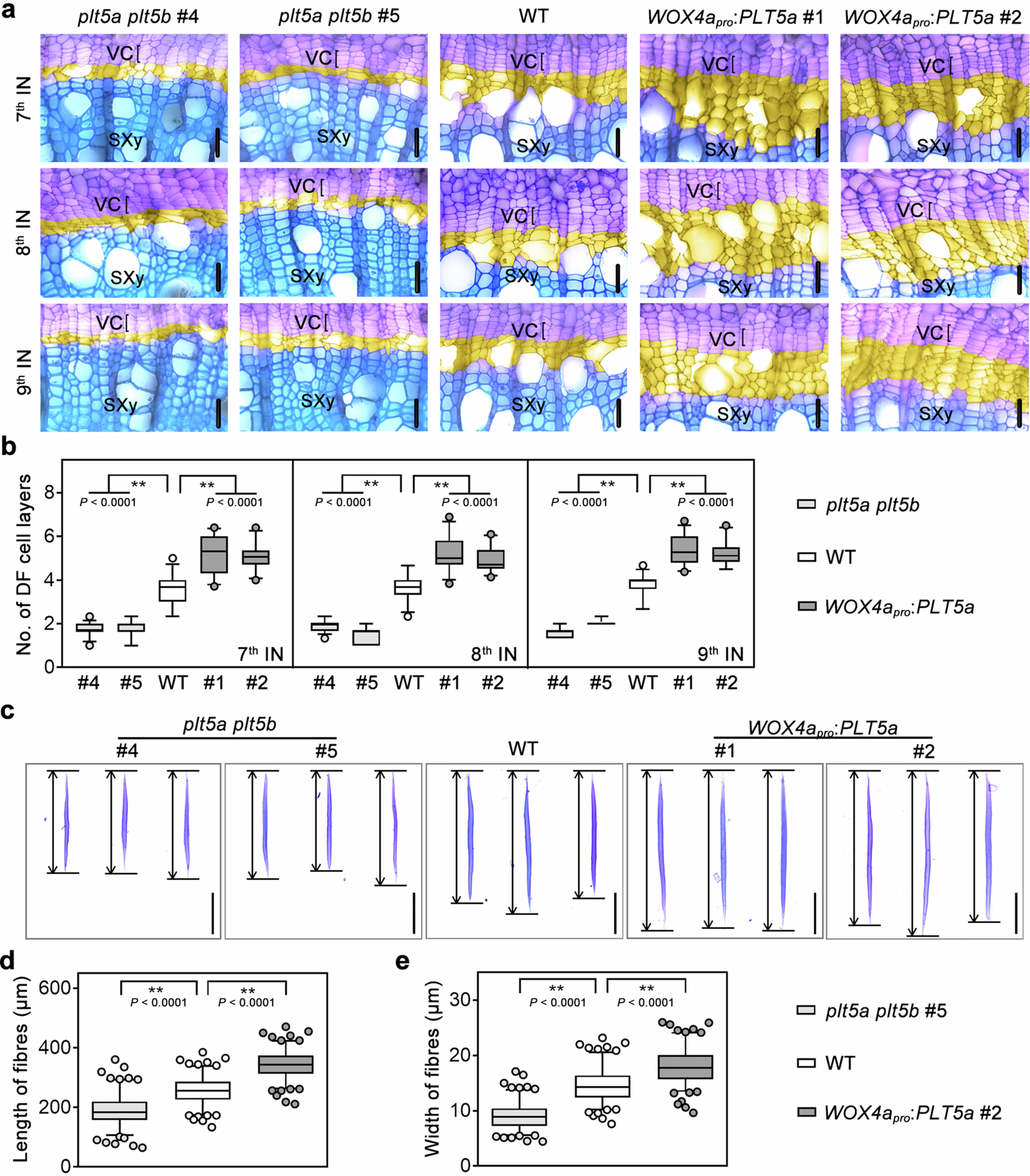 Extended Data Fig. 4