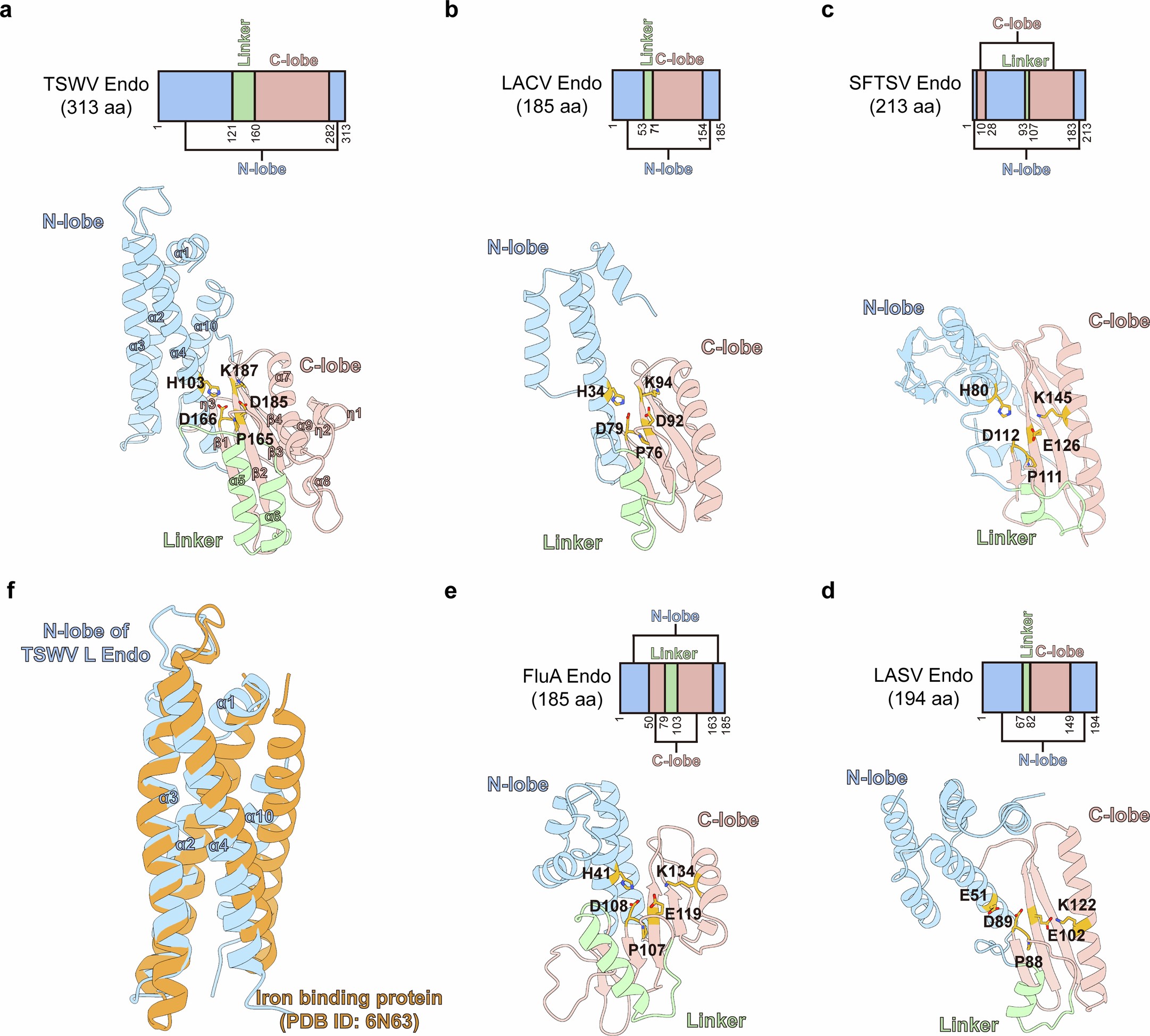Extended Data Fig. 2: Structural comparison of sNSV L Endonucleases.