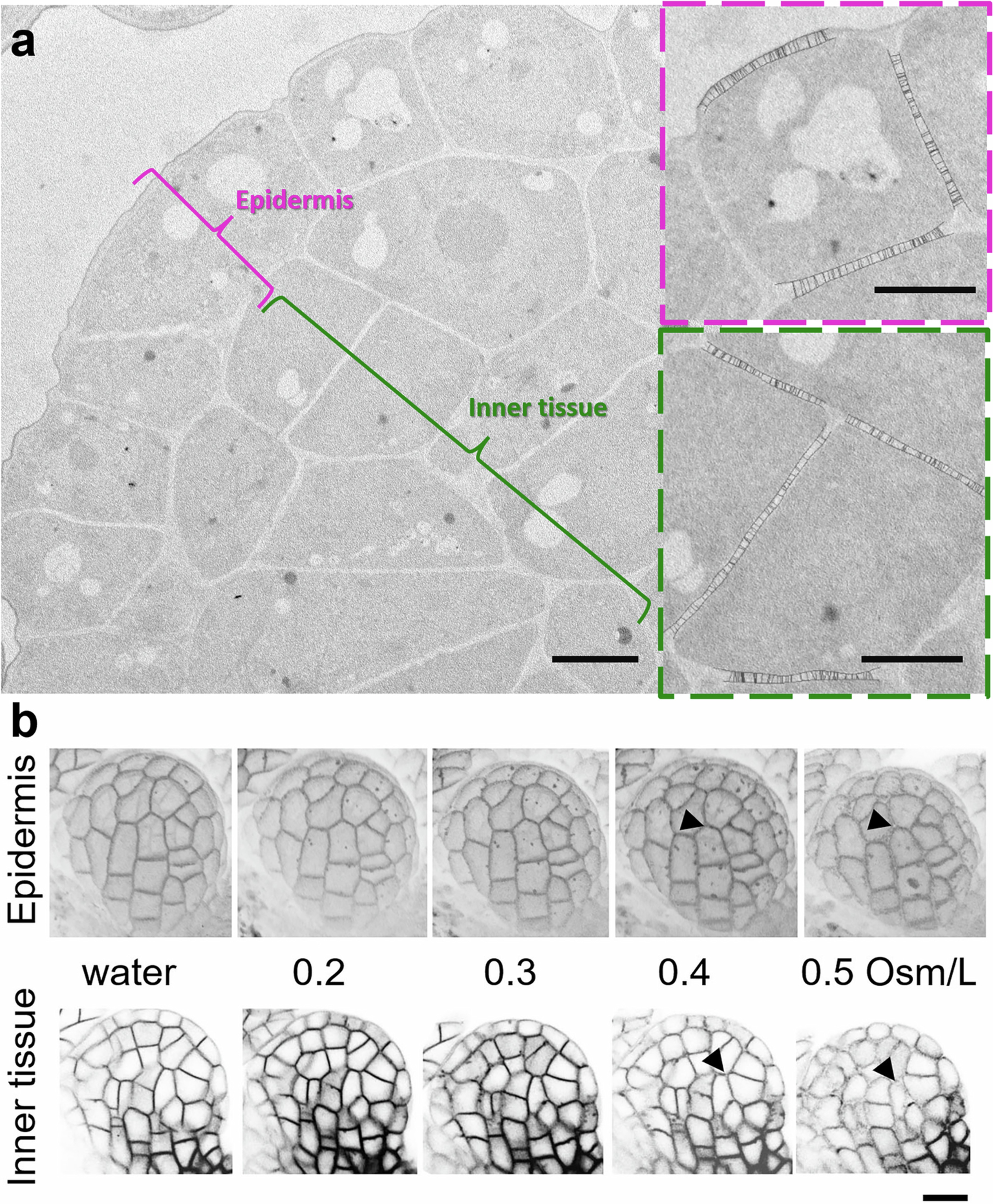 Extended Data Fig. 3