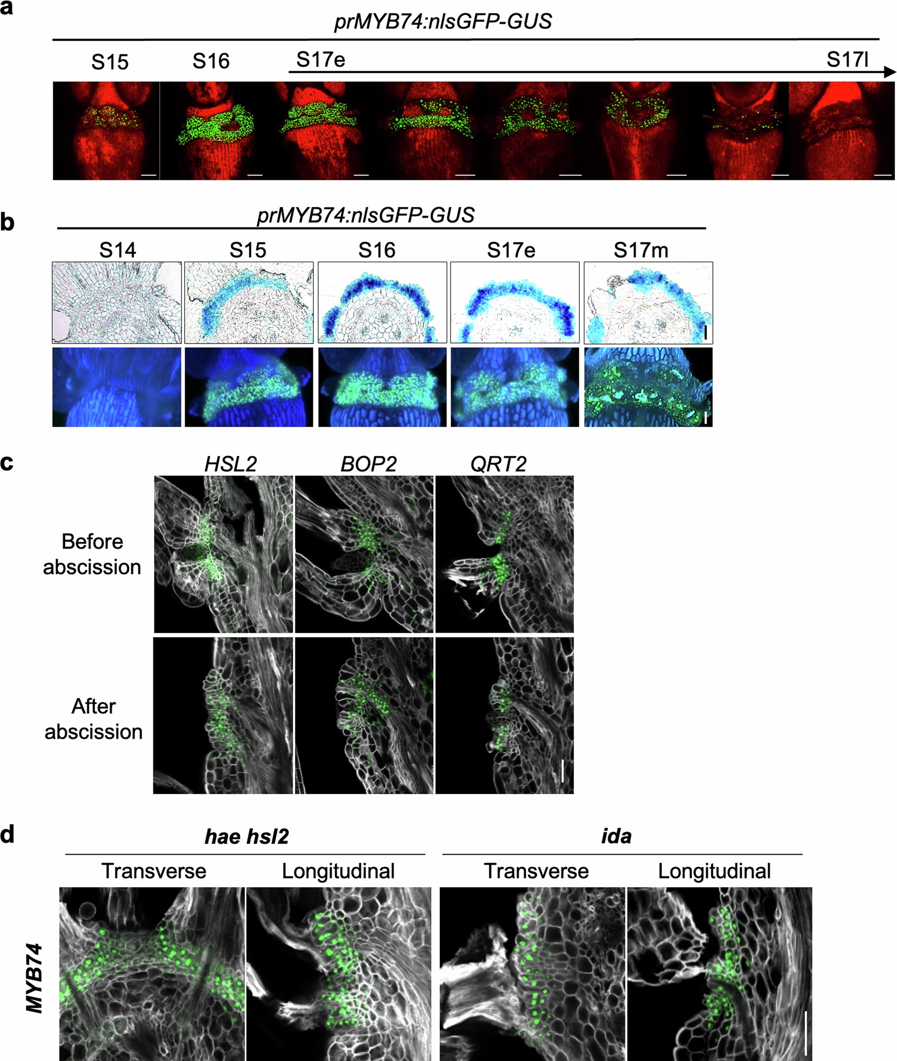 Extended Data Fig. 6
