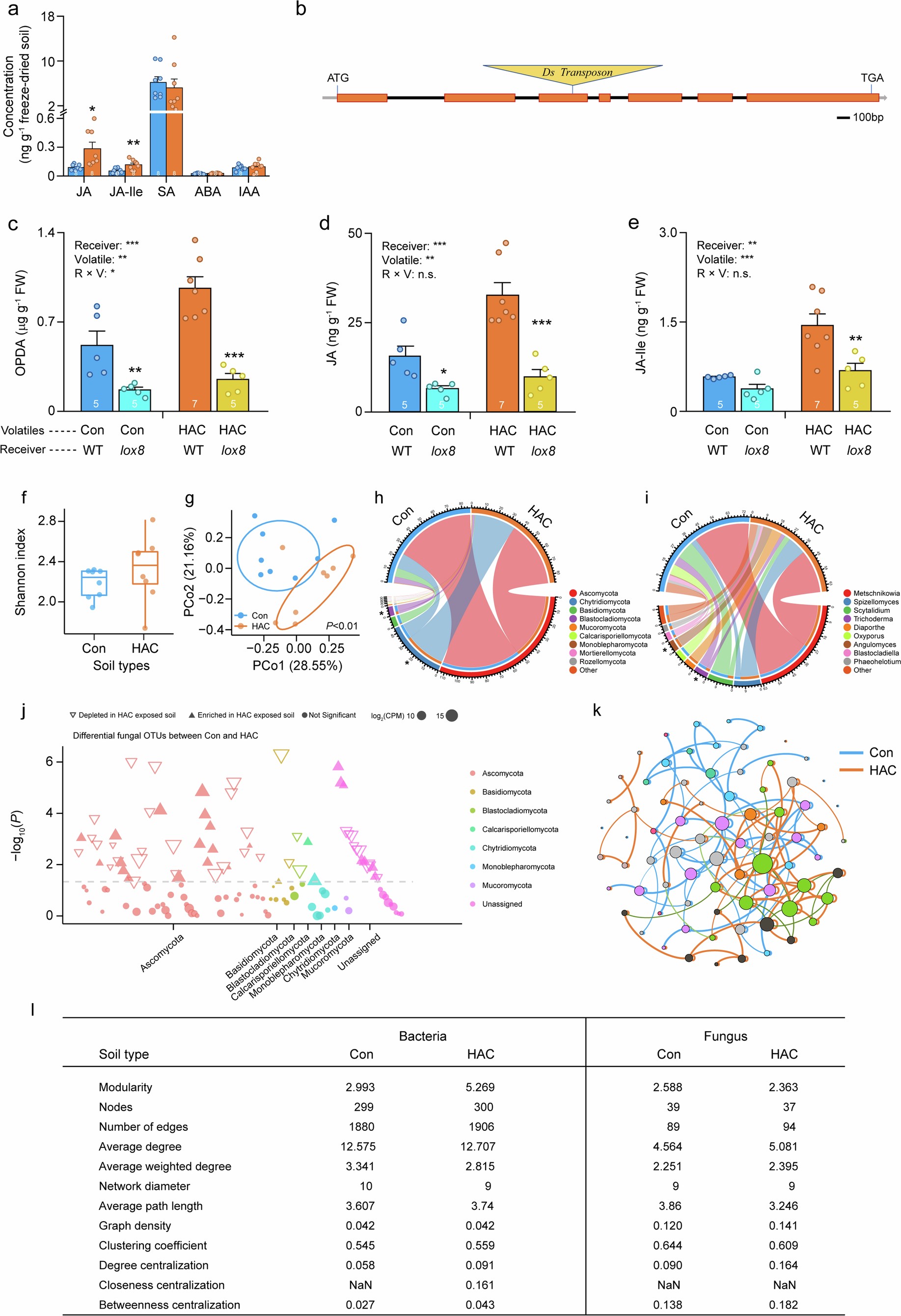 Extended Data Fig. 6: Soil fungi in the rhizosphere of HAC-exposed maize receiver plants.