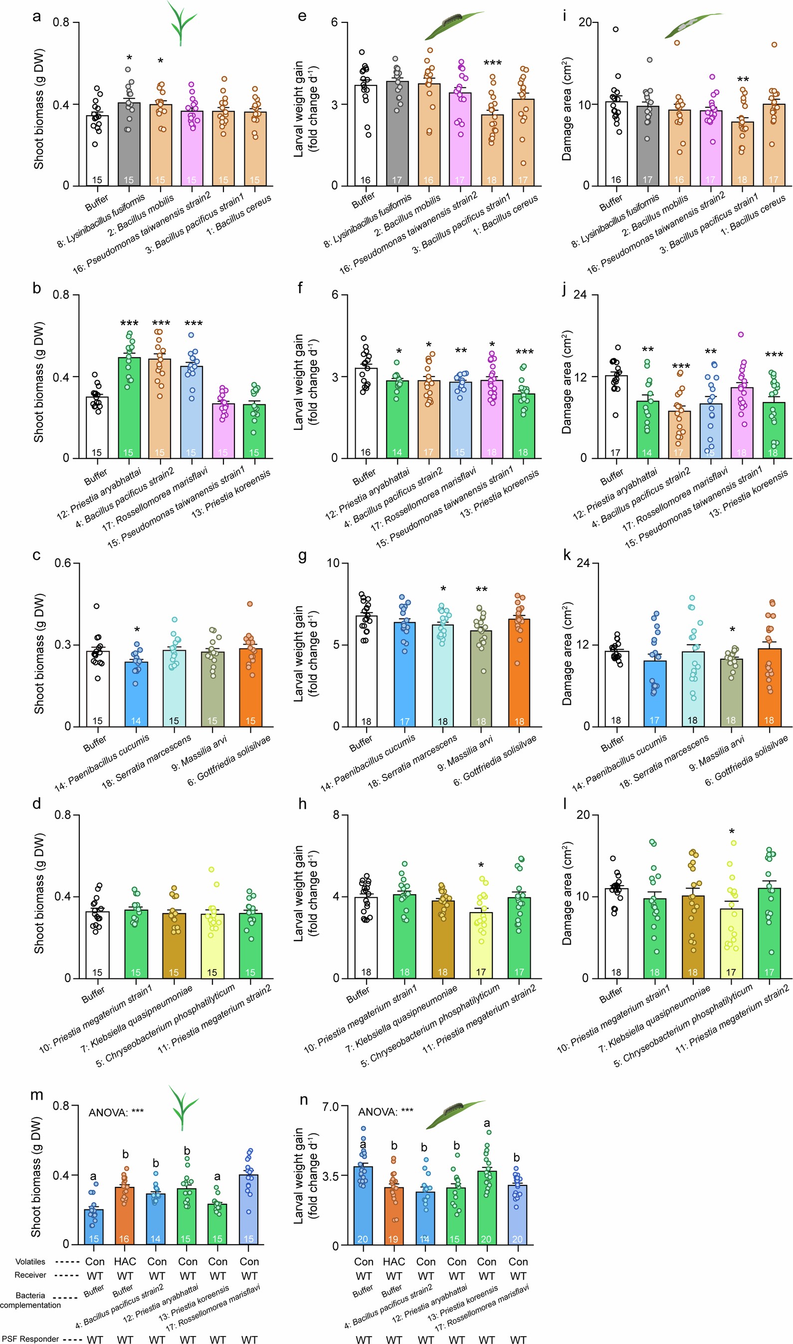 Extended Data Fig. 7: The influence of soil bacteria on plant growth and resistance.