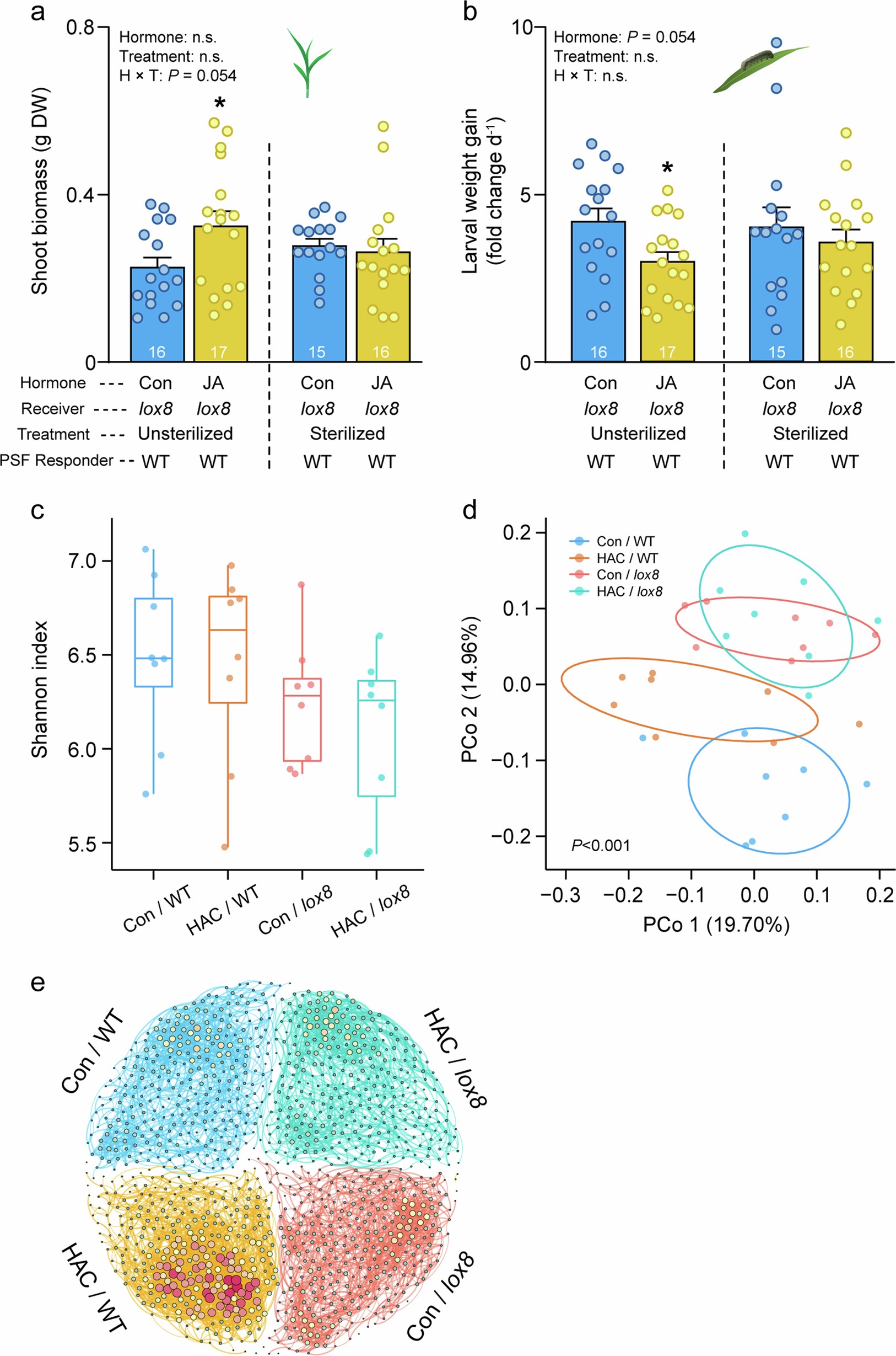 Extended Data Fig. 8: Soil bacteria in the rhizosphere of wild-type plants and lox8 mutants after HAC exposure.