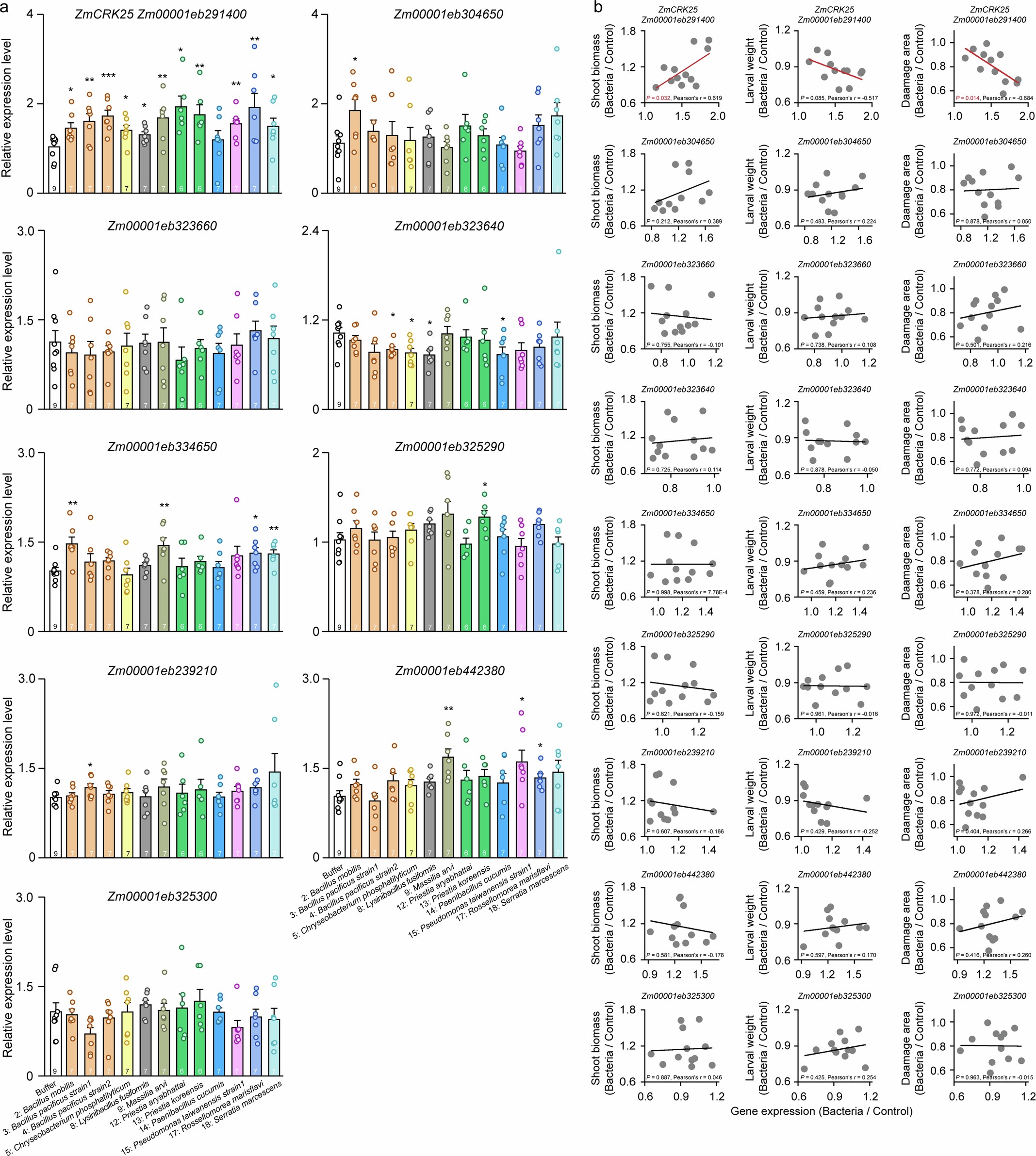 Extended Data Fig. 9: Soil bacteria change the expression of receptor-like kinases.