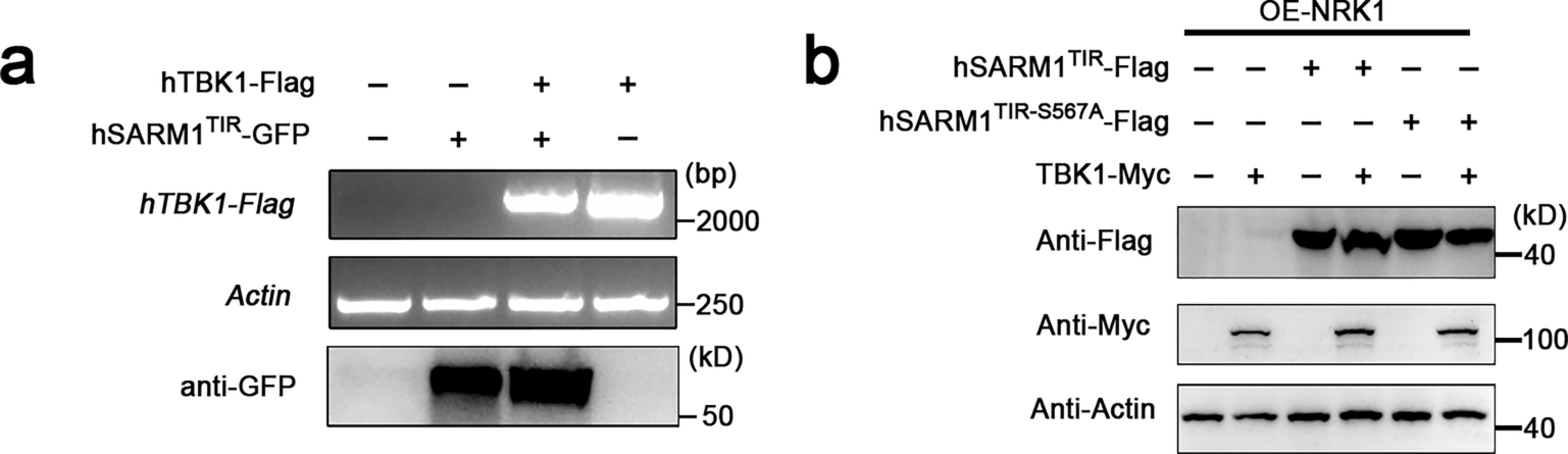 Extended Data Fig. 10