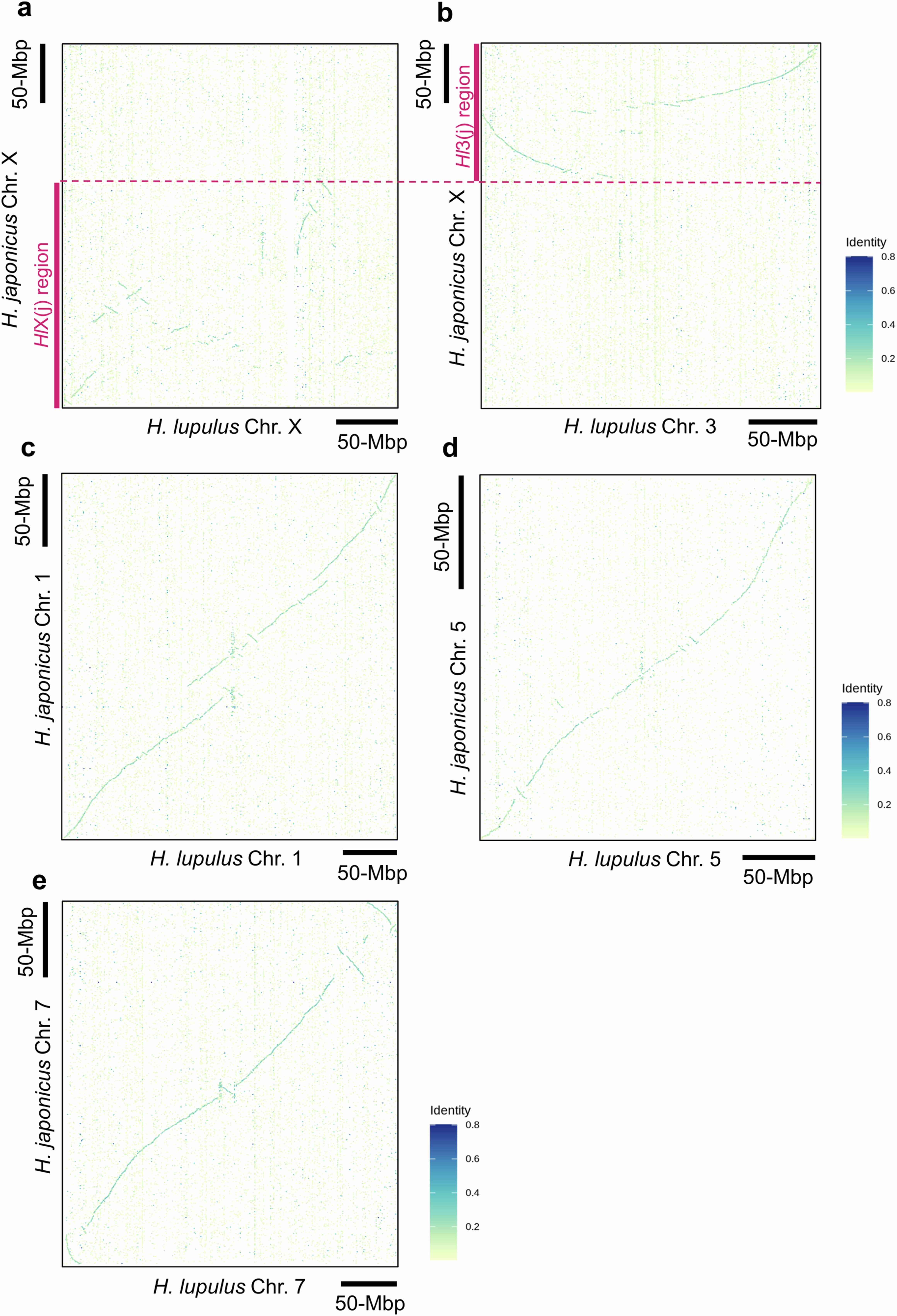 Extended Data Fig. 7: Sex chromosome-specific rearrangements.