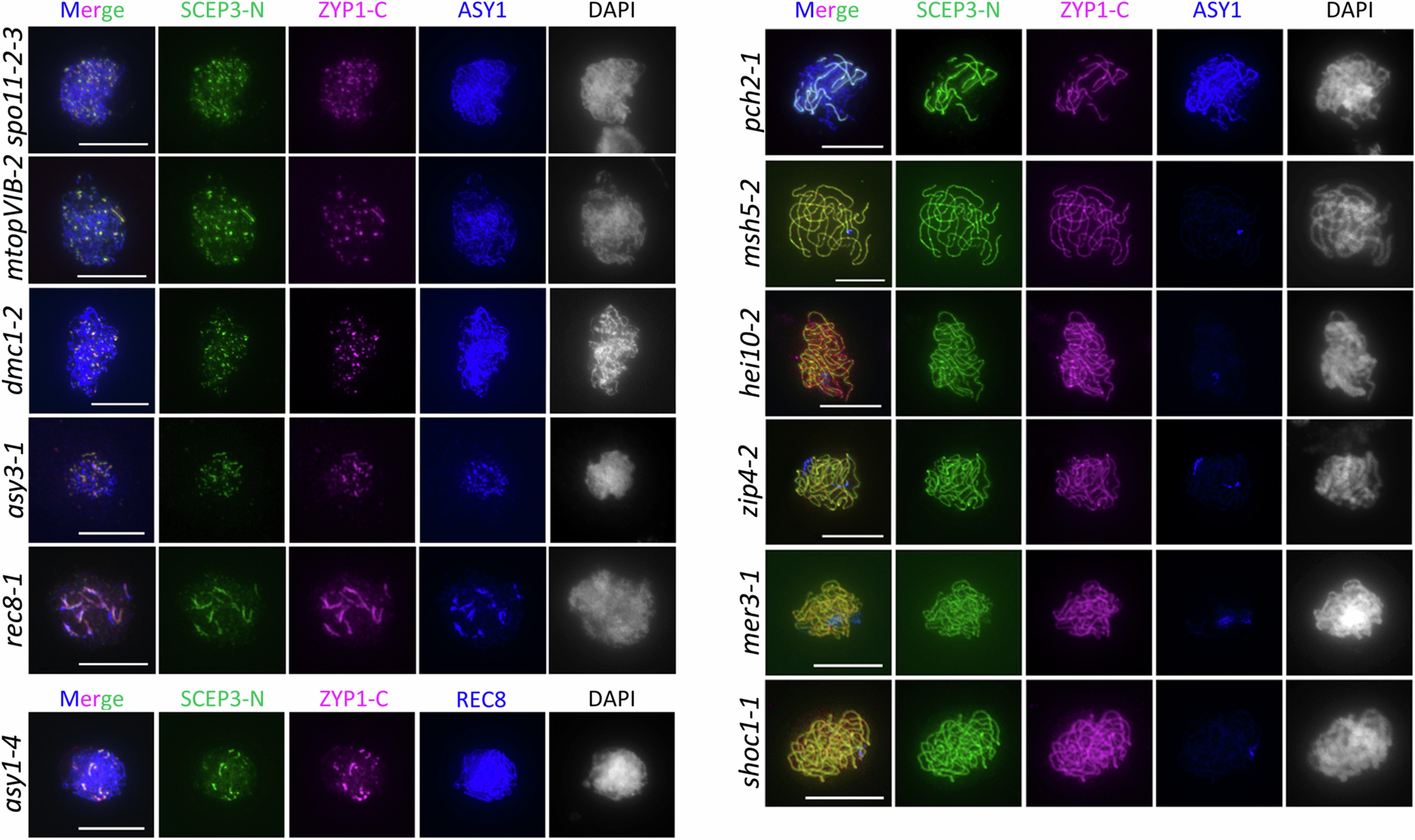 Extended Data Fig. 3