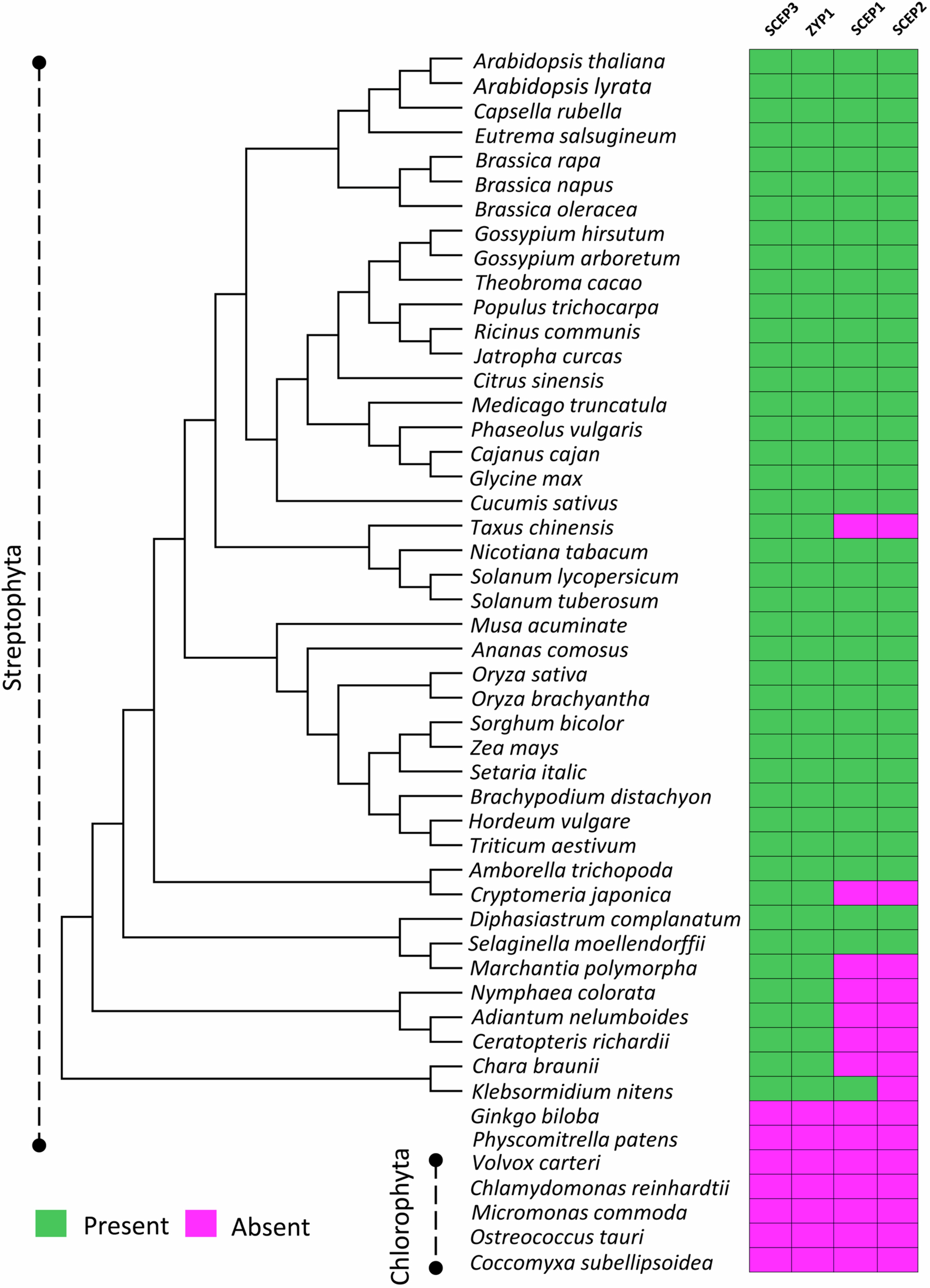 Extended Data Fig. 4
