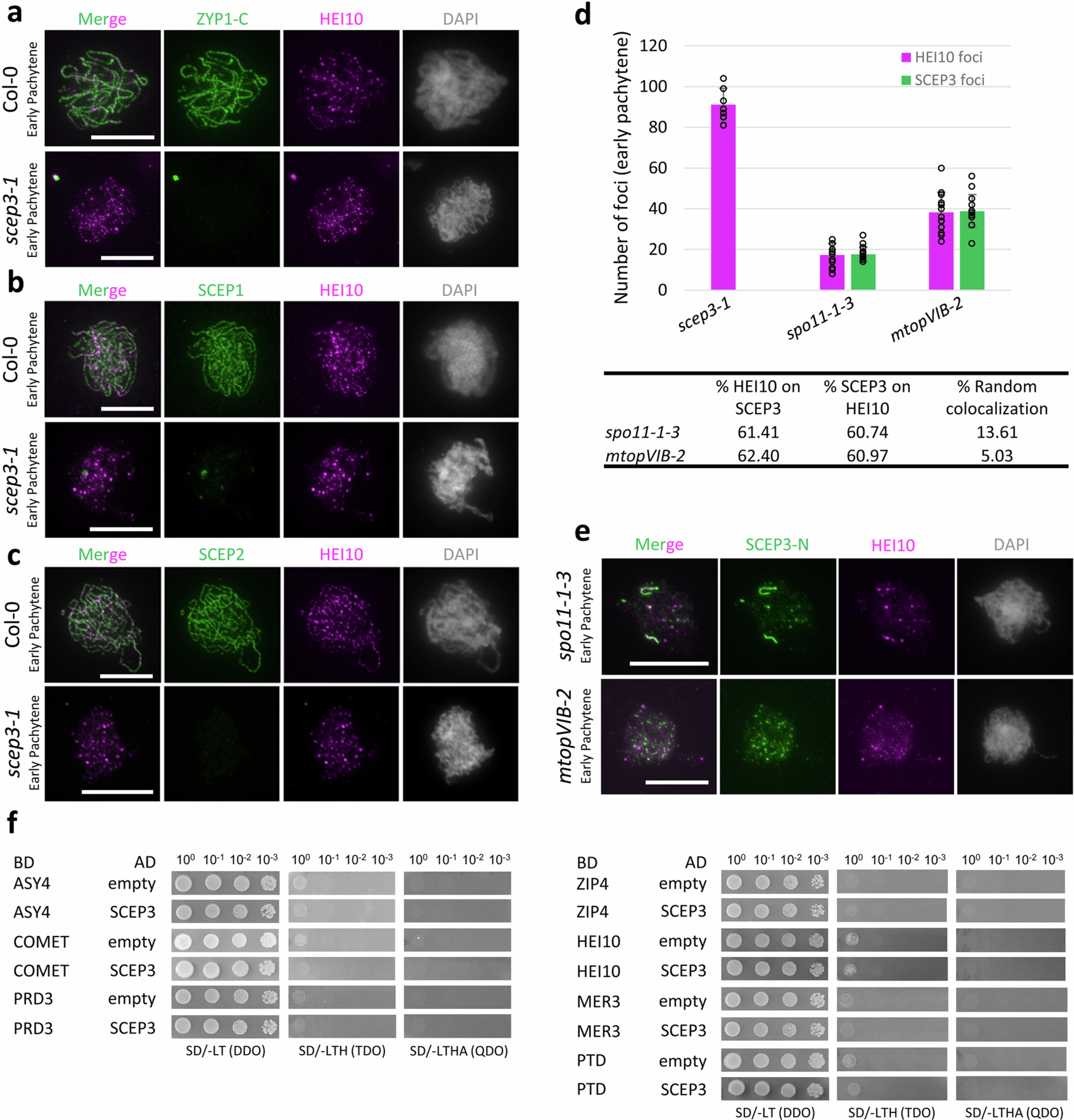 Extended Data Fig. 8