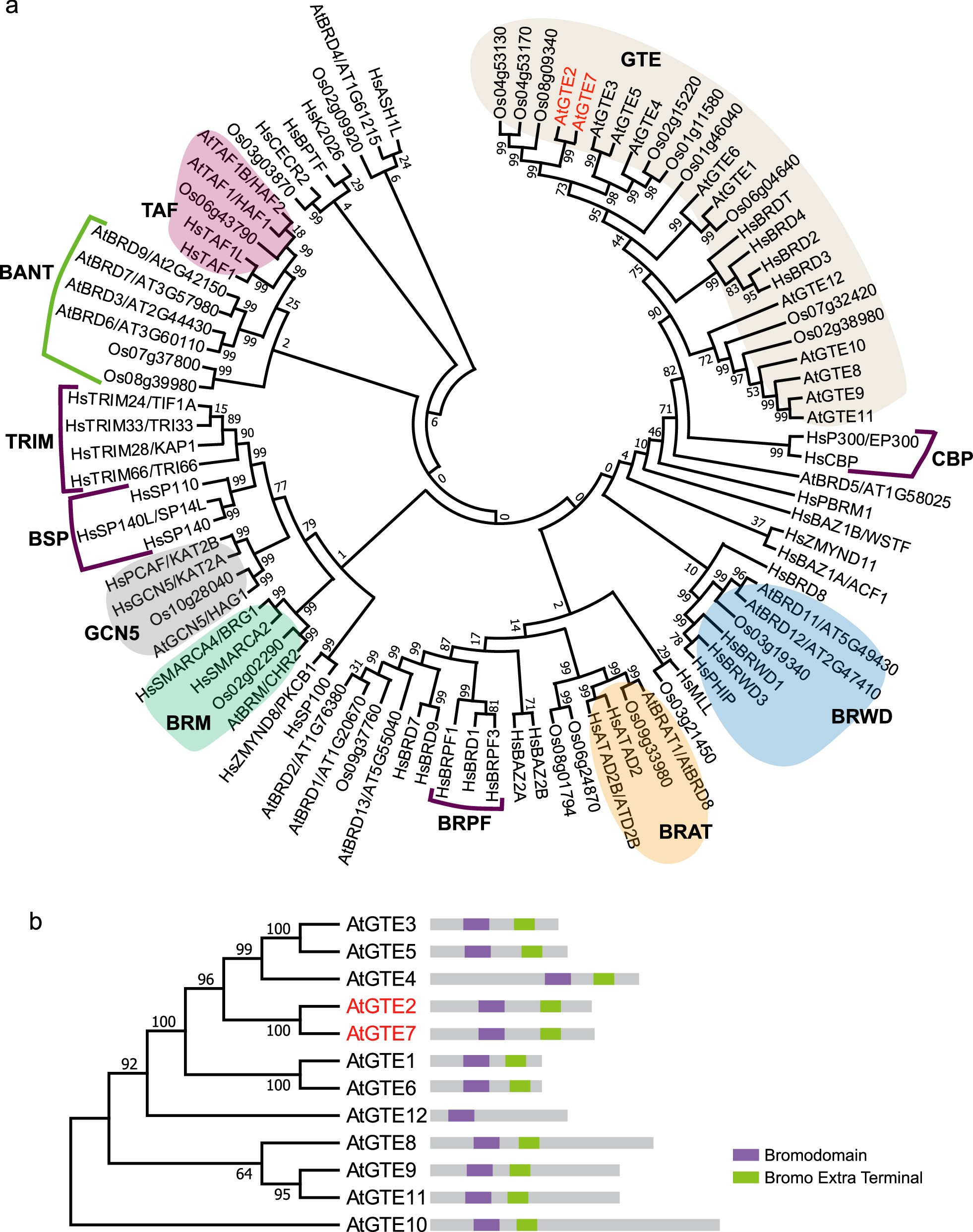 Extended Data Fig. 1