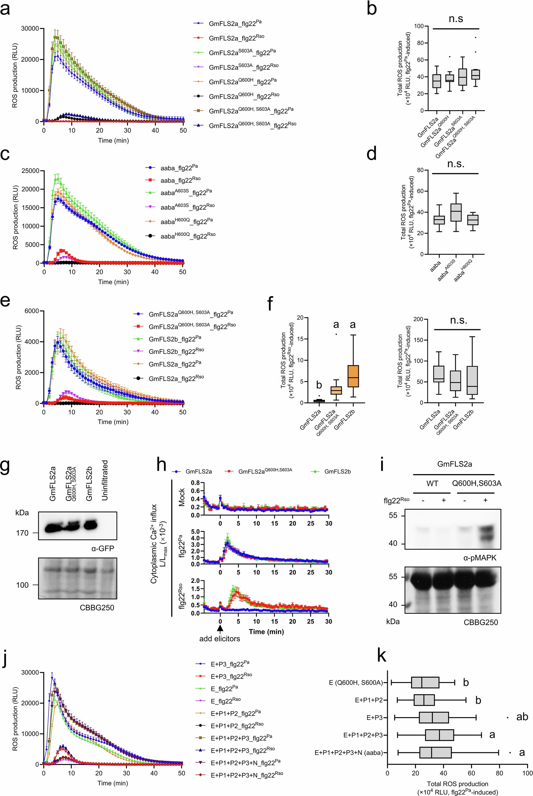 Extended Data Fig. 5: Characterization of minimal gain-of-function residues, along with ‘enhancer’ and ‘suppressor’ polymorphisms predicted by DNA shuffling.