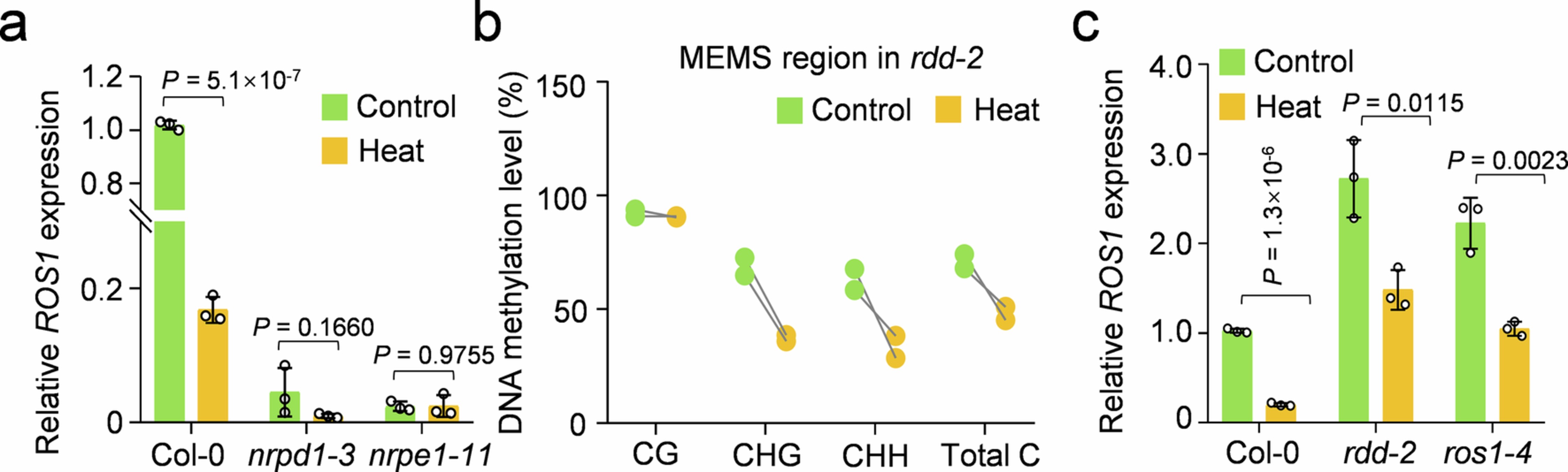 Extended Data Fig. 1: ROS1 expression levels in the relative epigenetic mutants.