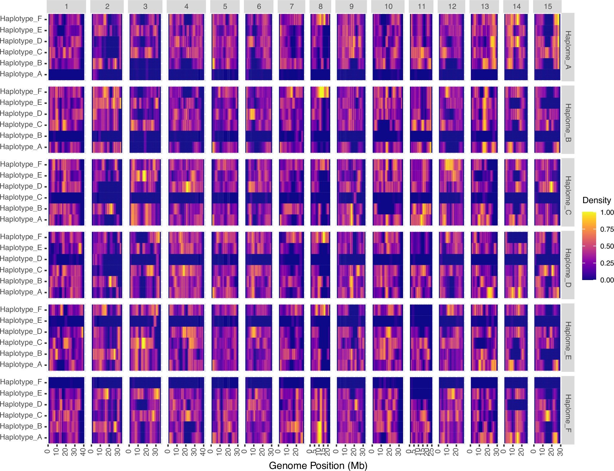 Extended Data Fig. 2: Haplotype phasing assessment of the ‘Tanzania’ assembly using the phased genetic map.