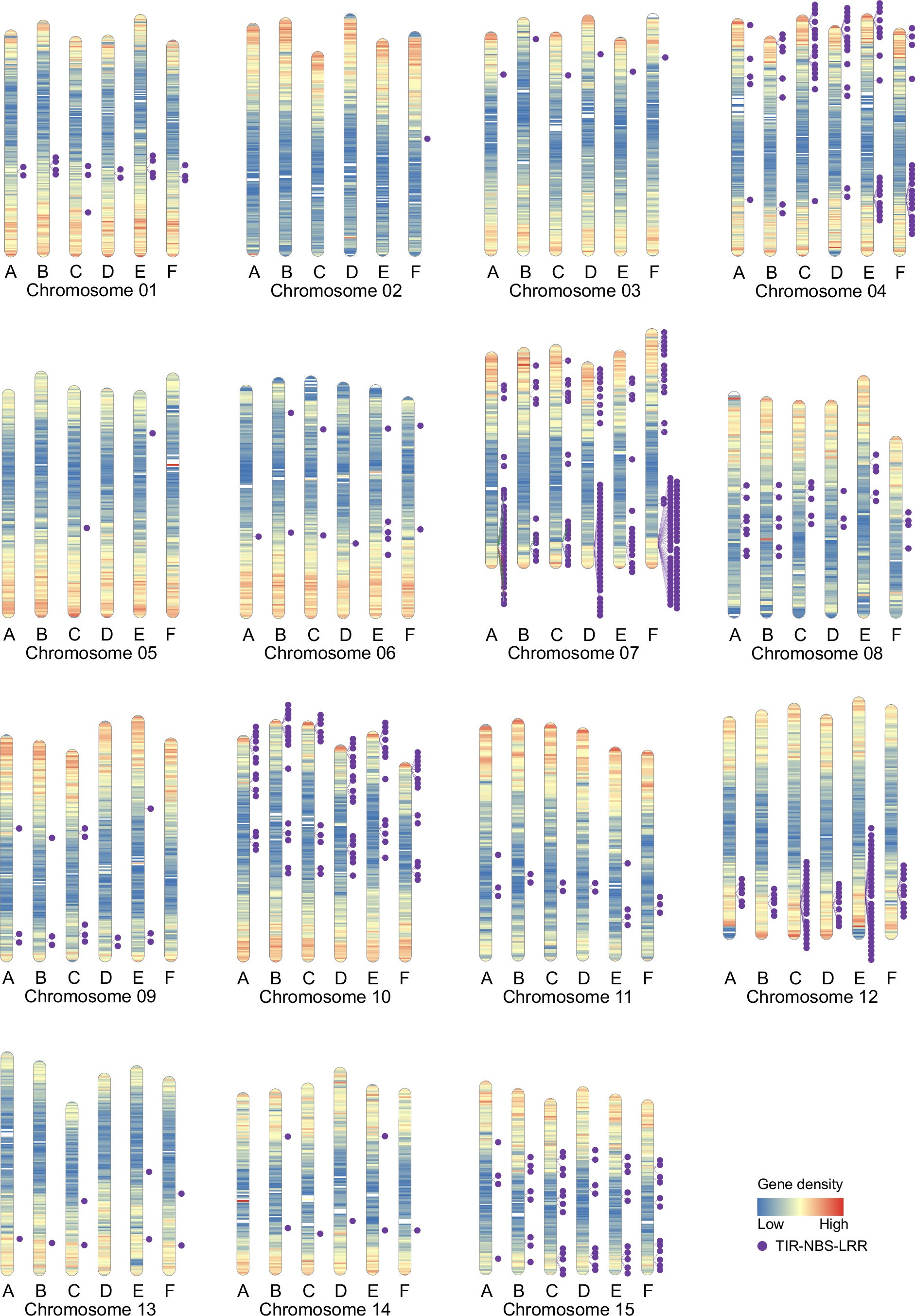 Extended Data Fig. 5