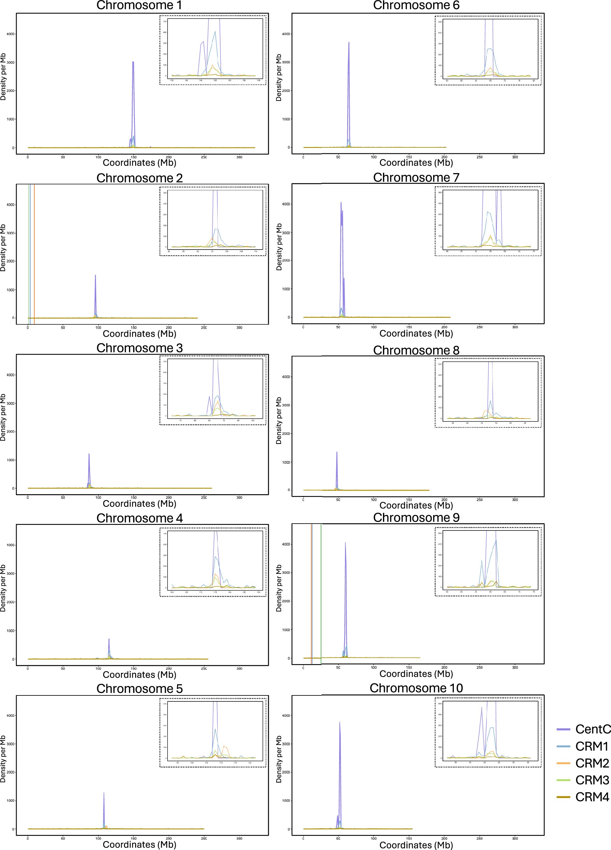 Extended Data Fig. 6: Distribution of the centromeric specific repeats along the chromosomes of the Ku123 genome.