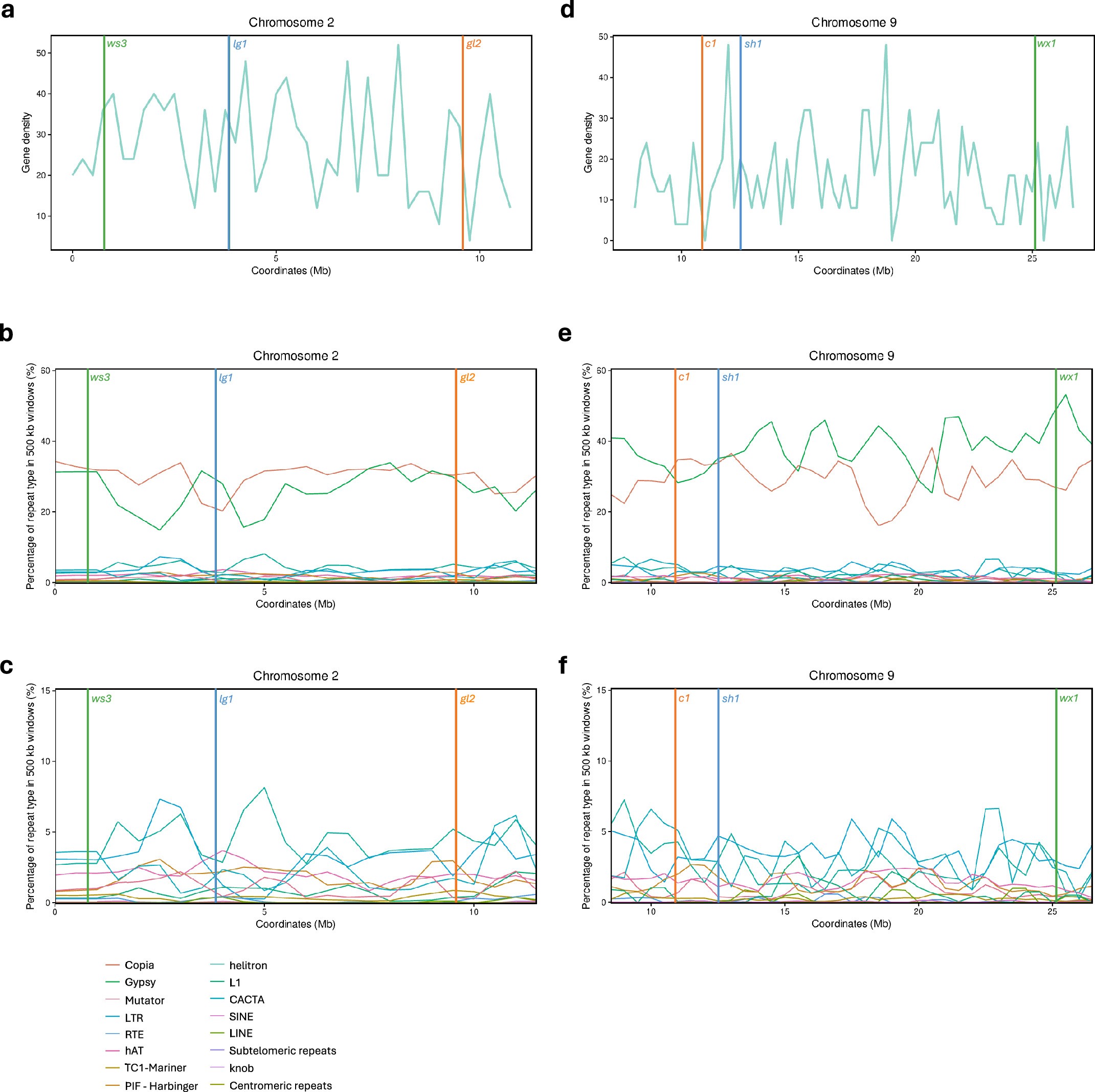 Extended Data Fig. 3: Gene and transposon density in the Ku123 genome regions containing the ws3-lg1-gl2 and c1-sh1-wx1 intervals.