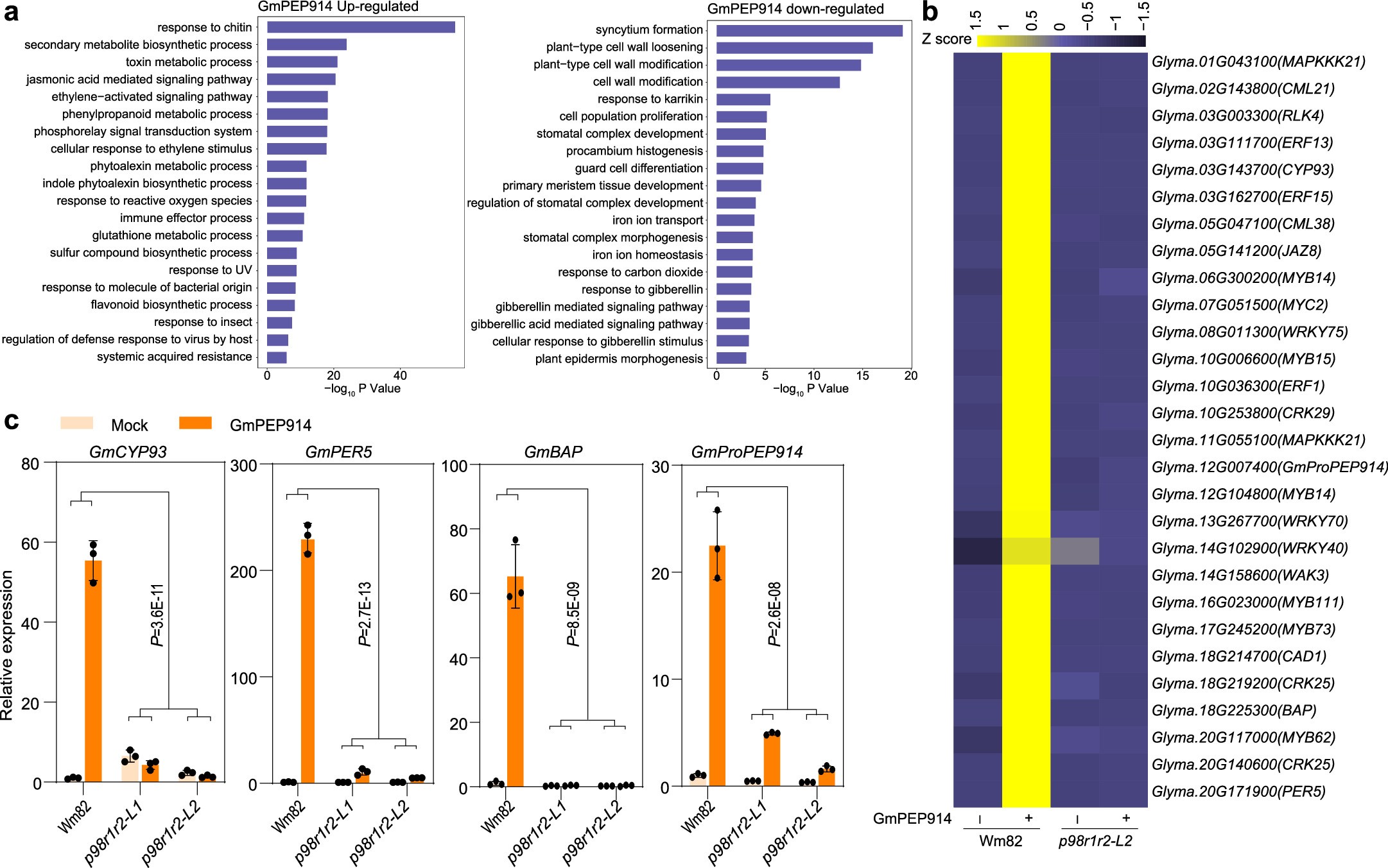 Extended Data Fig. 7: GmPEP914 and GmPEP890 trigger defense genes expression in an GmP98R1- and GmP98R2-dependent manner.