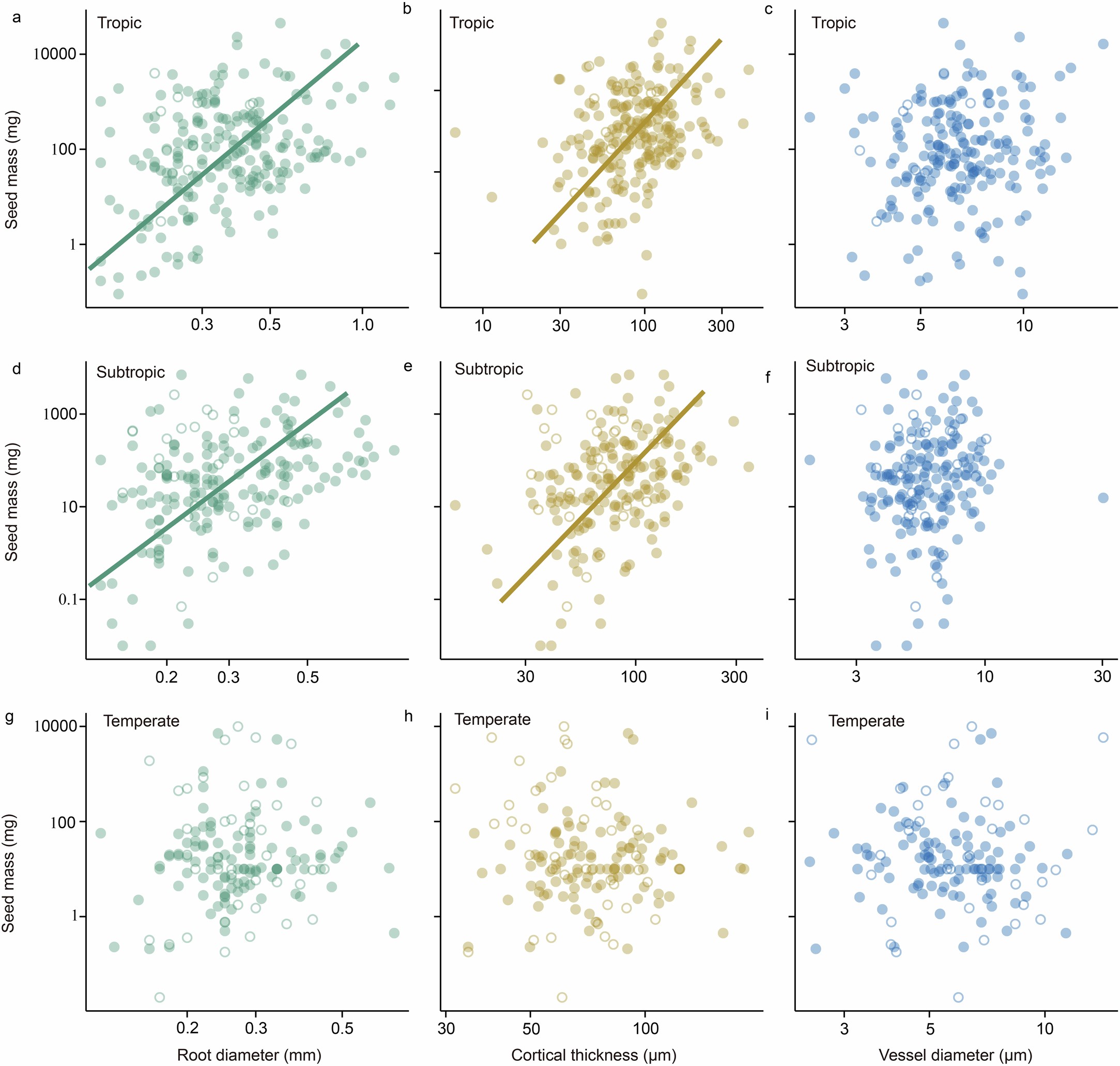 Extended Data Fig. 4: Relationships between root traits and seed mass of different mycorrhizal types across different climatic zones.