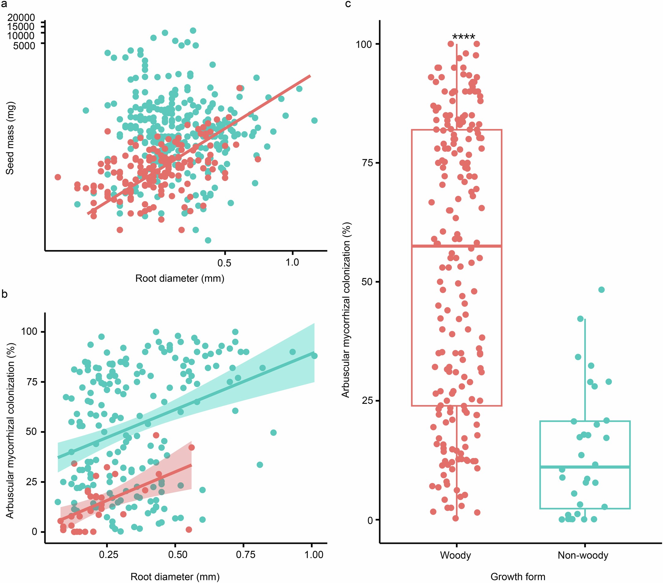 Extended Data Fig. 9: Relationships between arbuscular mycorrhizal colonization rates and root diameter in woody and non-woody plants.