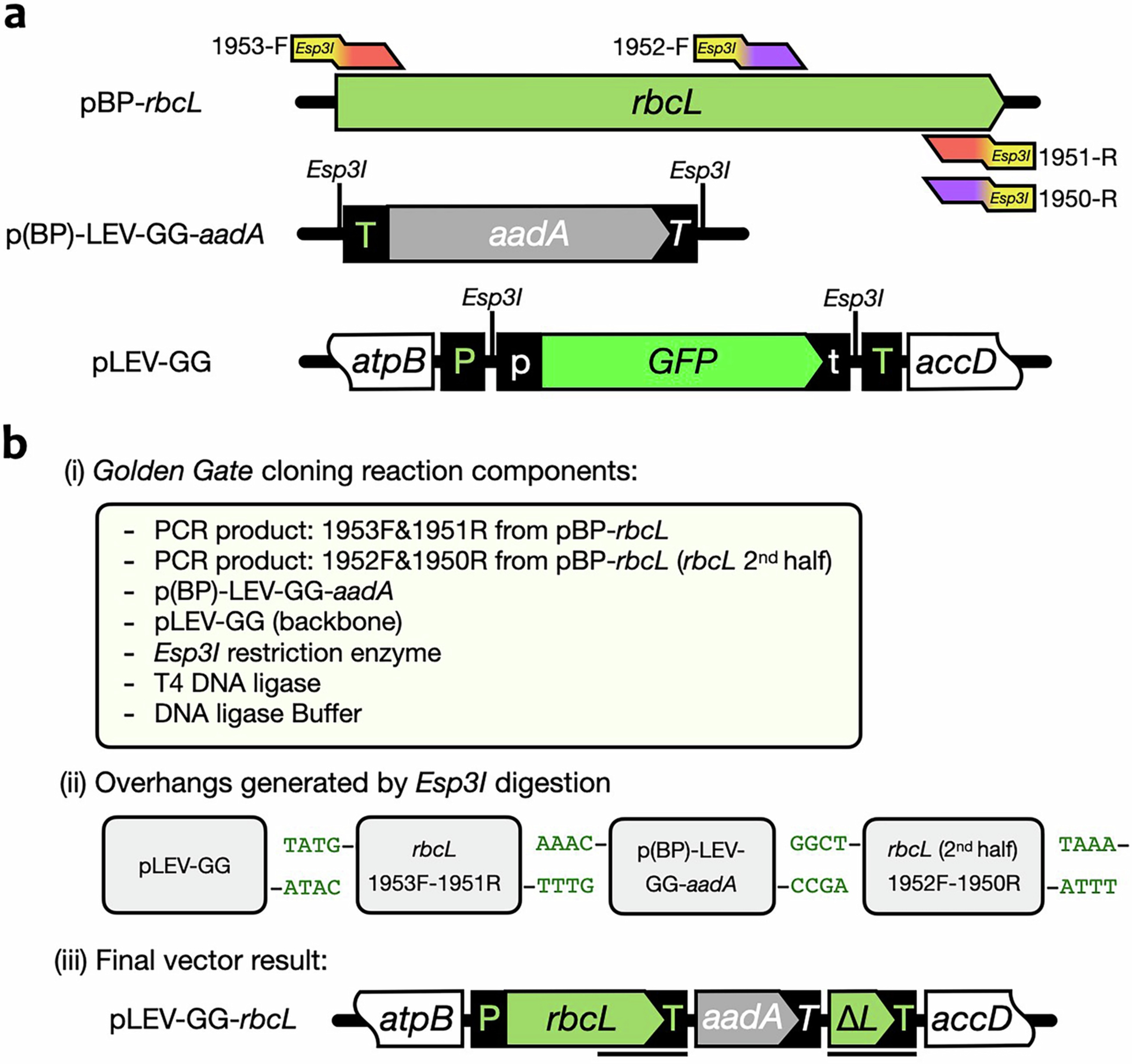 Extended Data Fig. 3