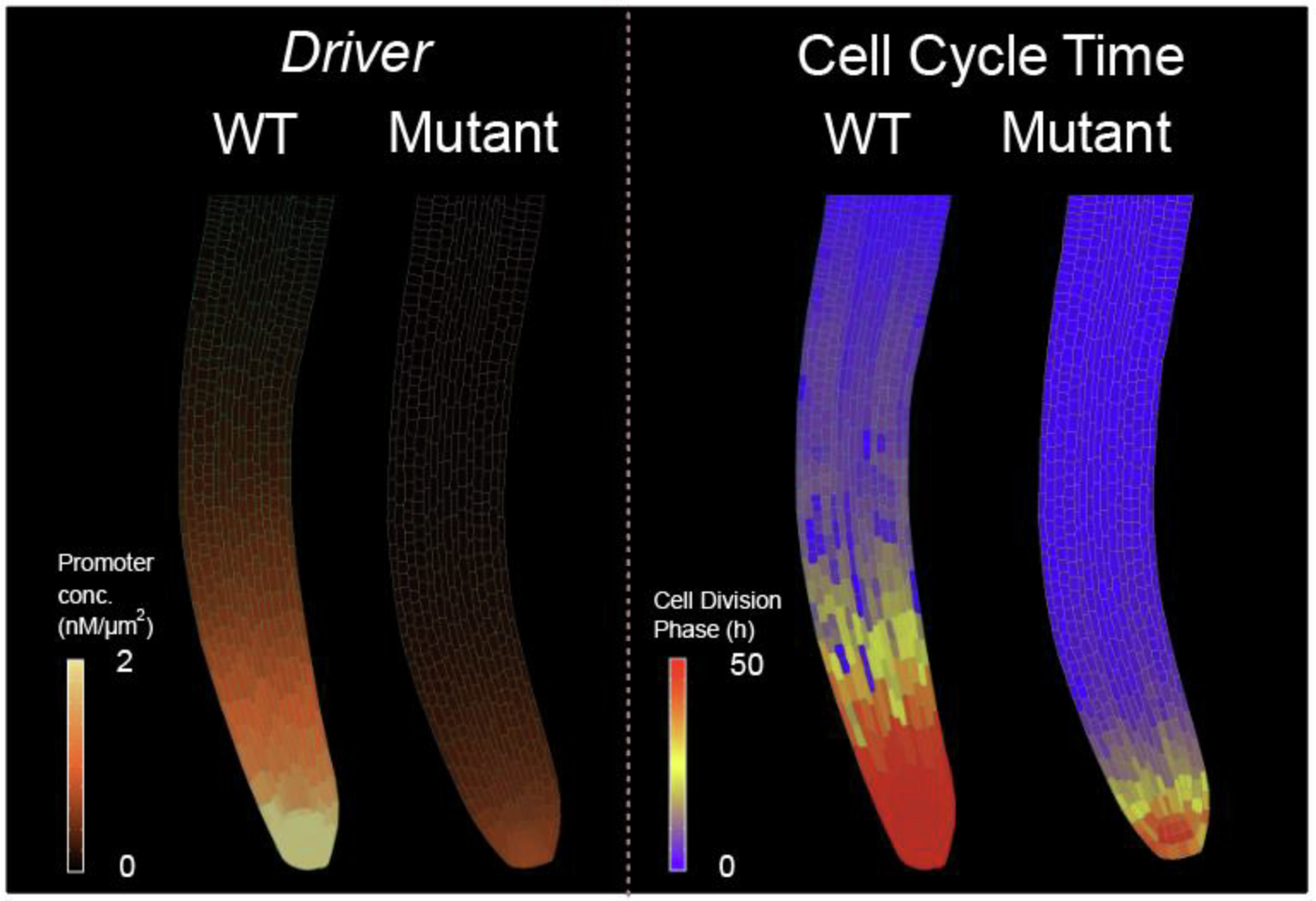 Extended Data Fig. 7
