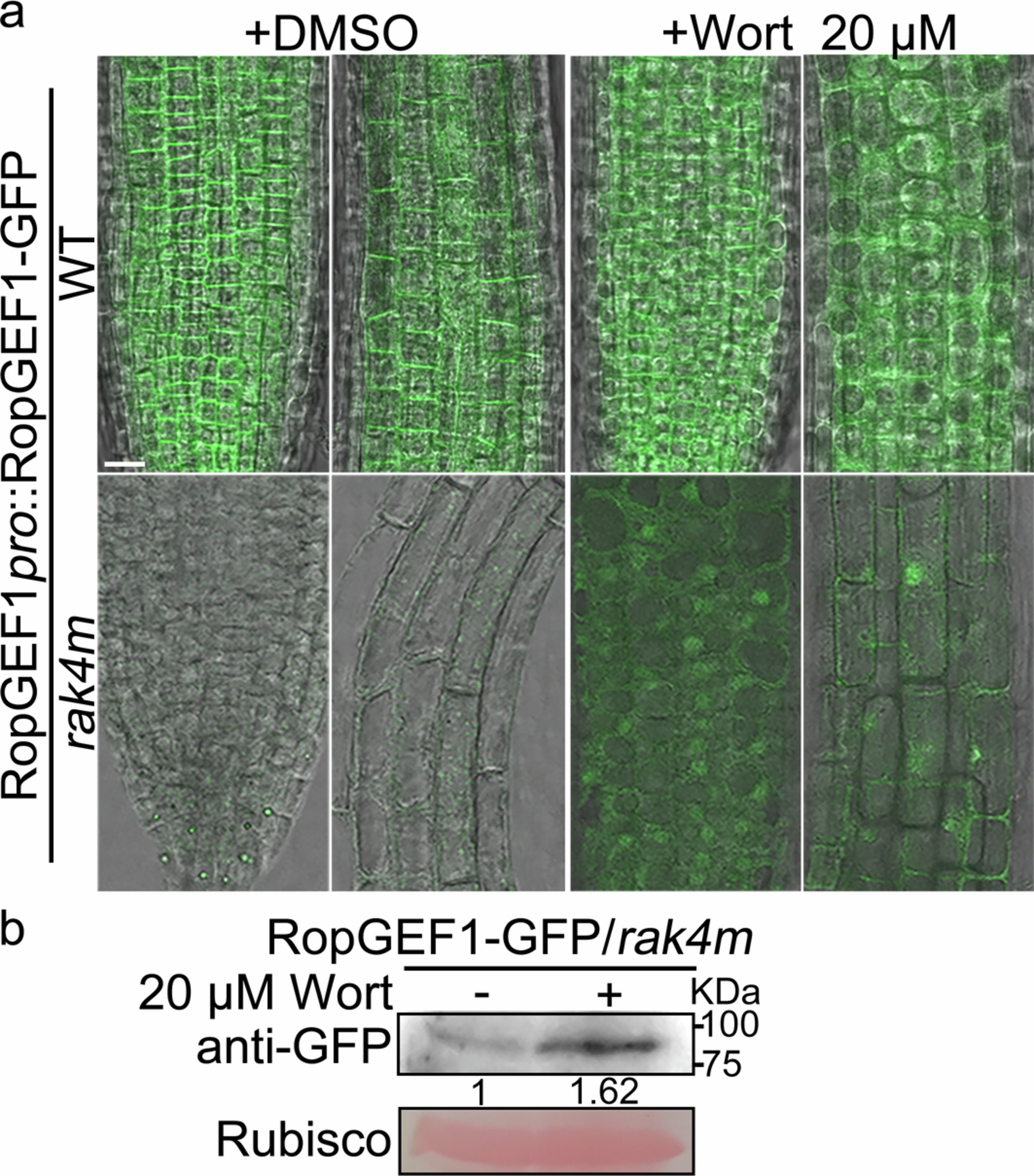 Extended Data Fig. 9