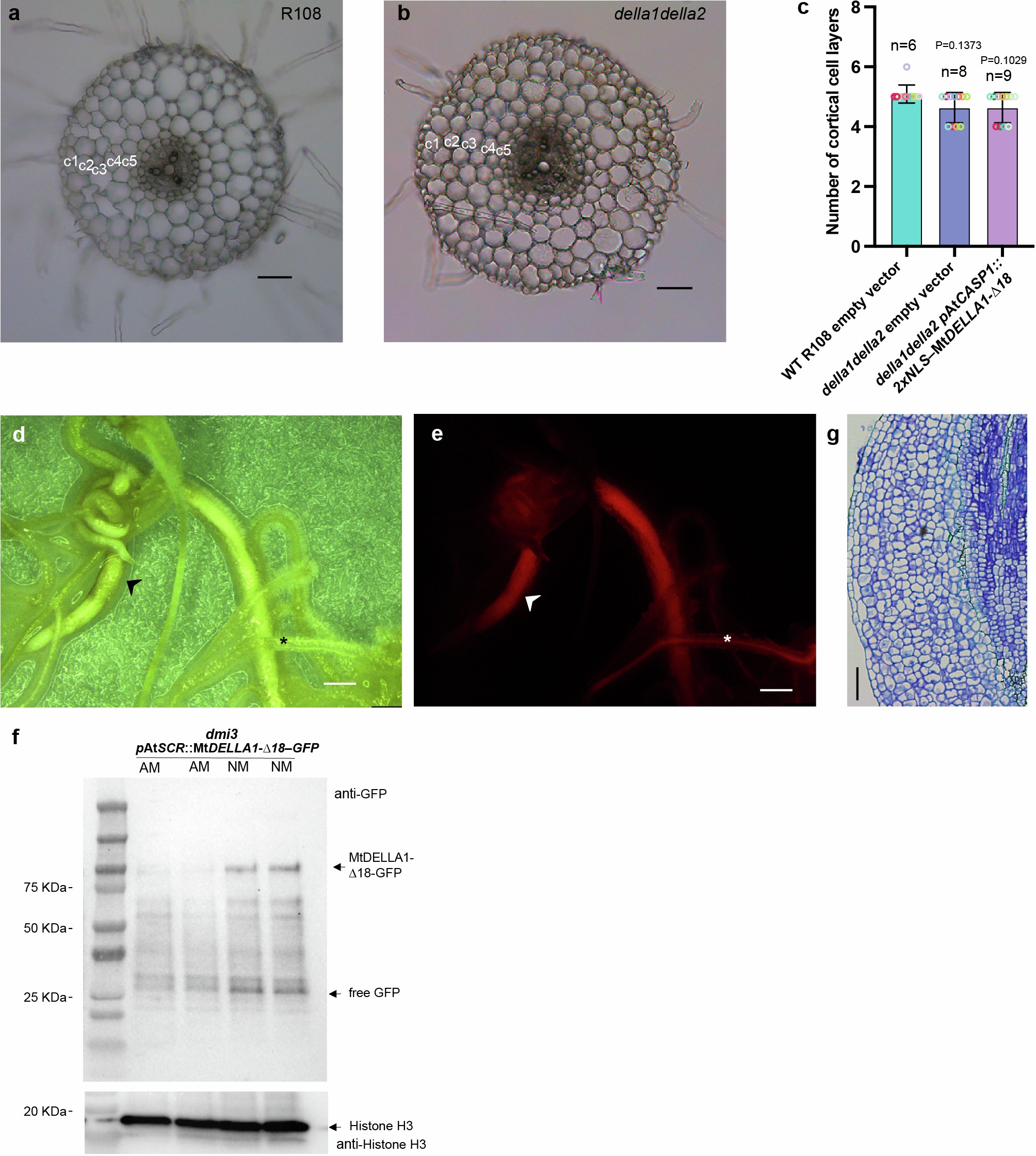 Extended Data Fig. 5
