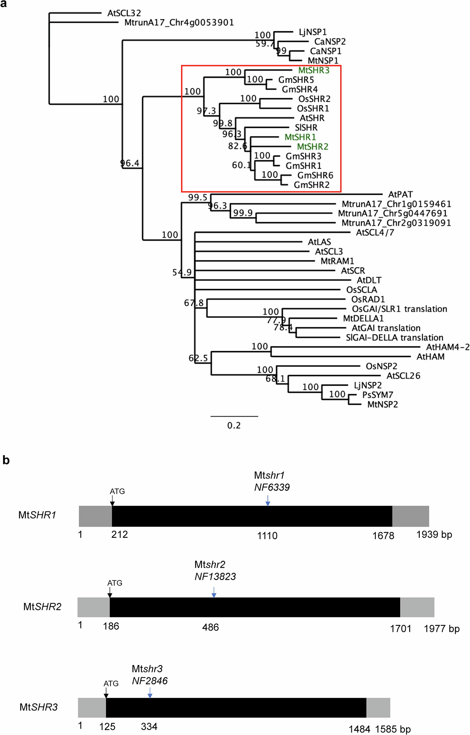 Extended Data Fig. 9