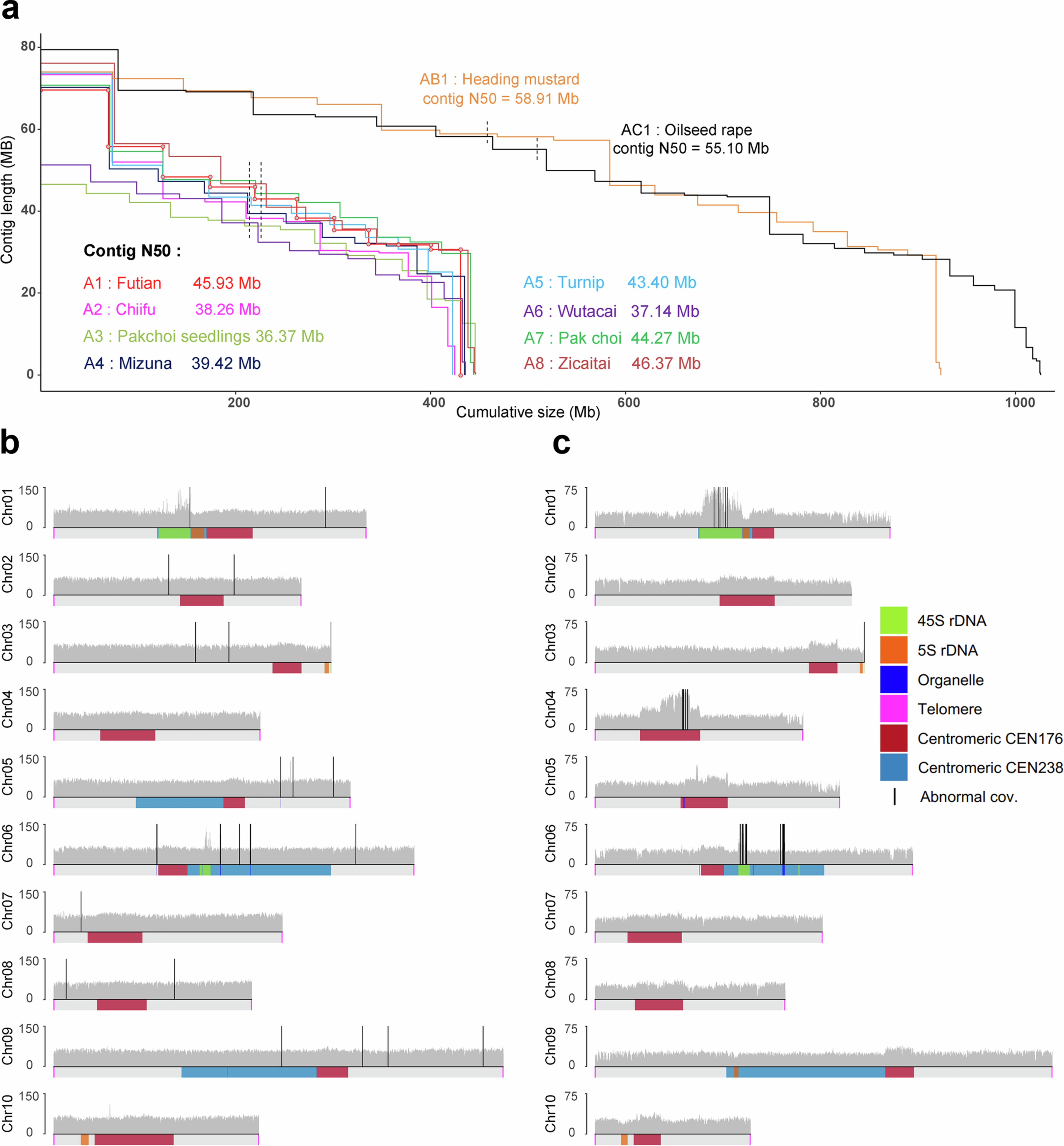 Extended Data Fig. 1: Genome assembly statistics and validation.