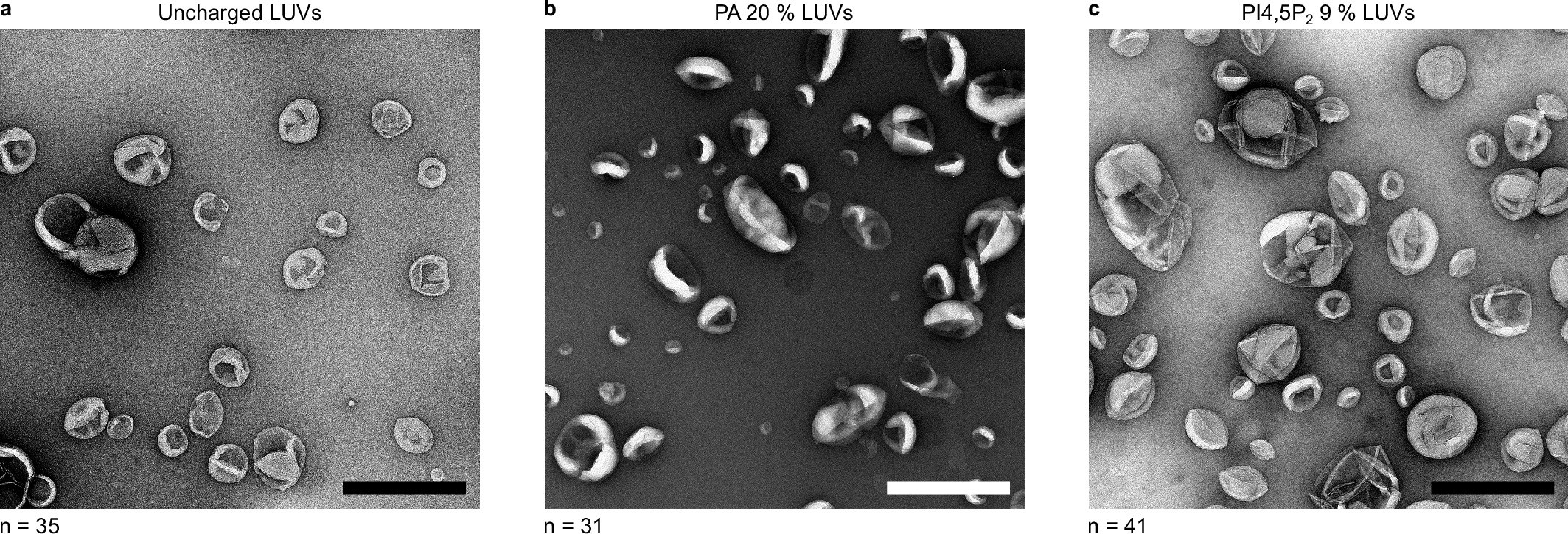 Extended Data Fig. 6