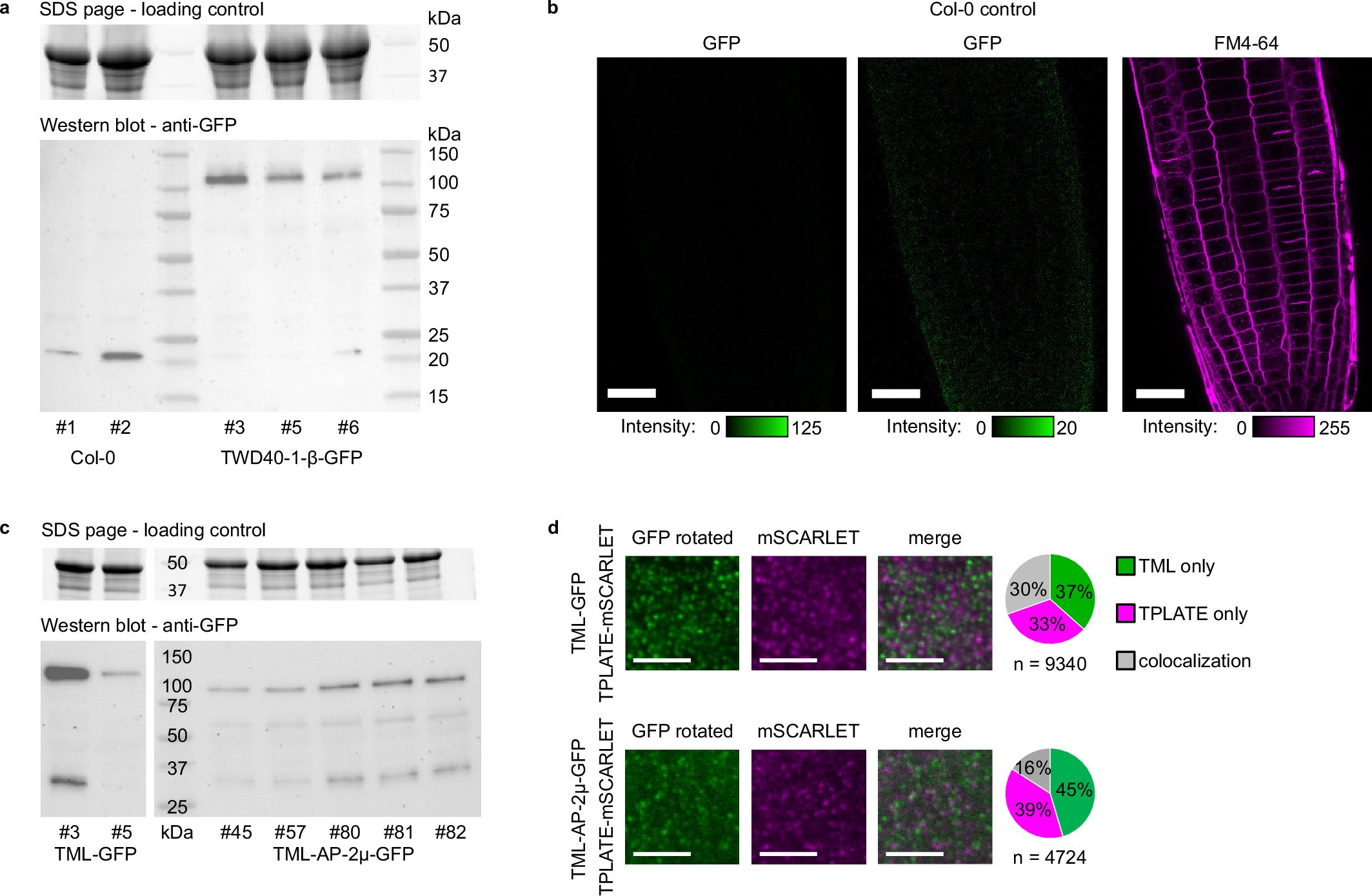 Extended Data Fig. 8